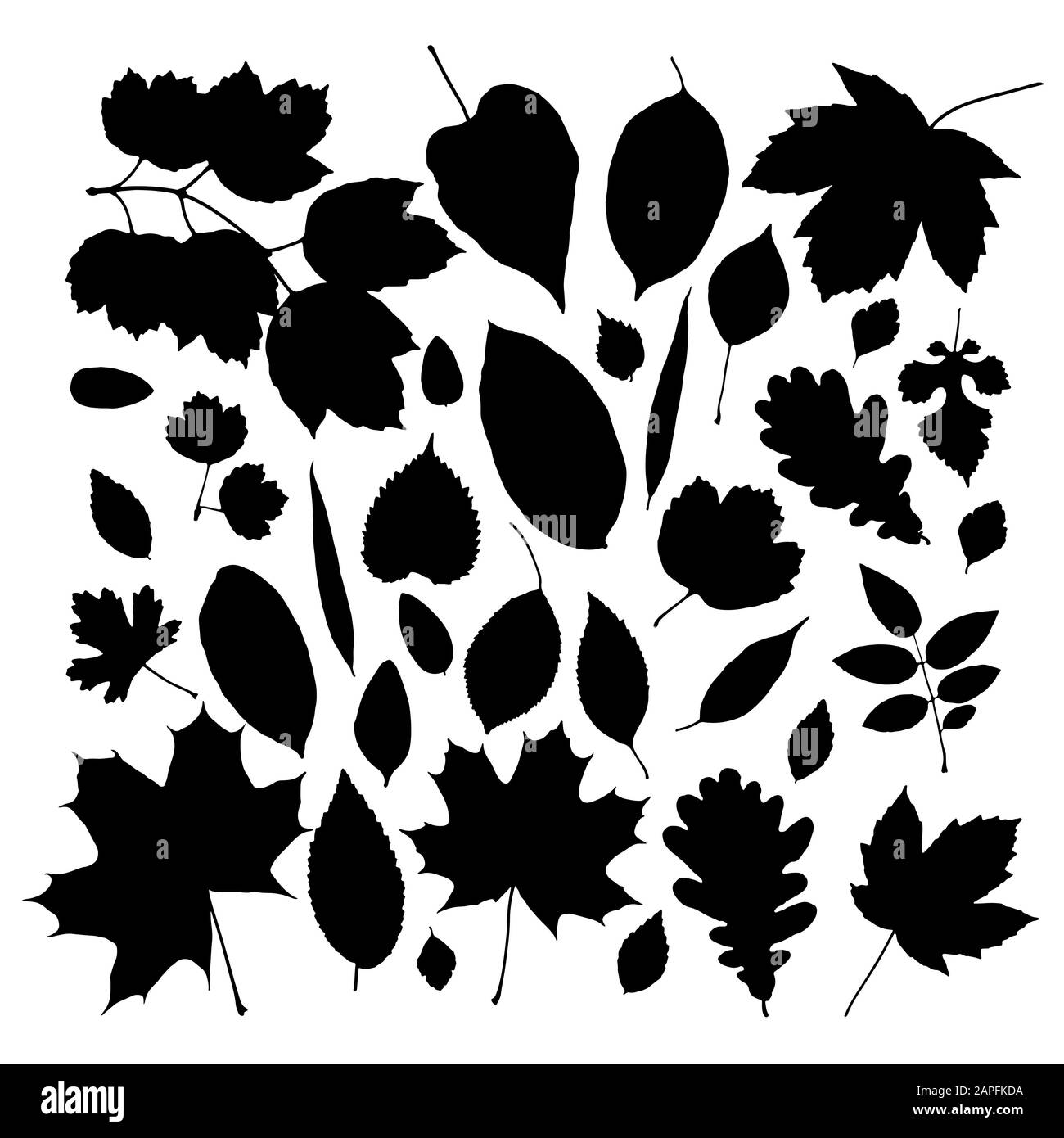 Vector set of leaves silhouette Stock Vector Image & Art - Alamy