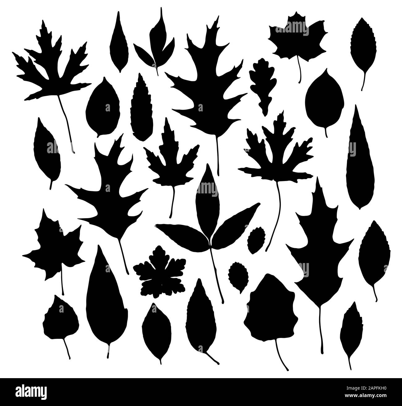 Vector set of leaves silhouette Stock Vector Image & Art - Alamy