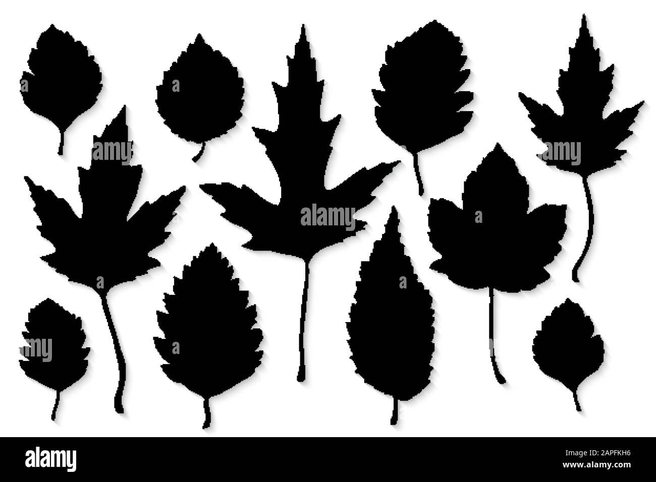 Leaves silhouette set on white background vector Stock Vector Image ...