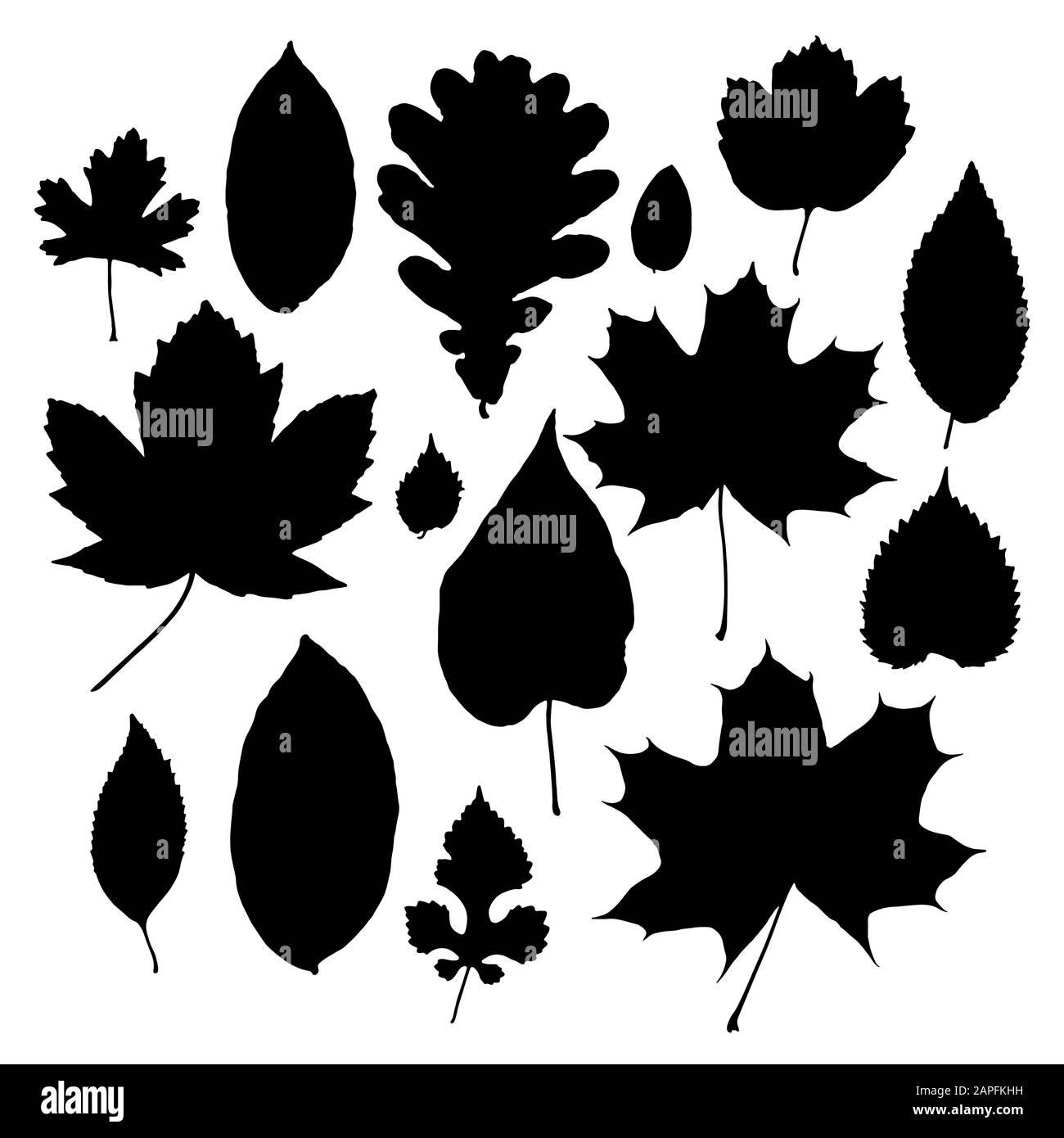 Vector set of leaves silhouette Stock Vector Image & Art - Alamy