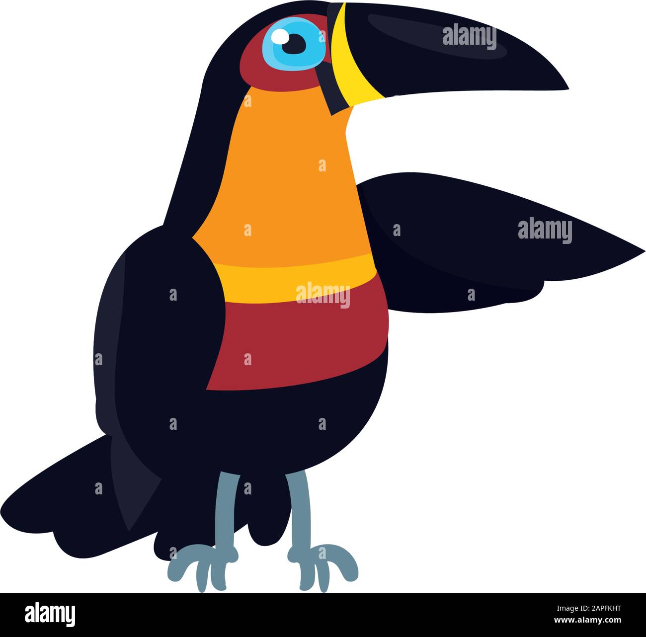 Toucan bird design, Animal feather predator wildlife fight beak natural and  latin america theme Vector illustration Stock Vector Image & Art - Alamy