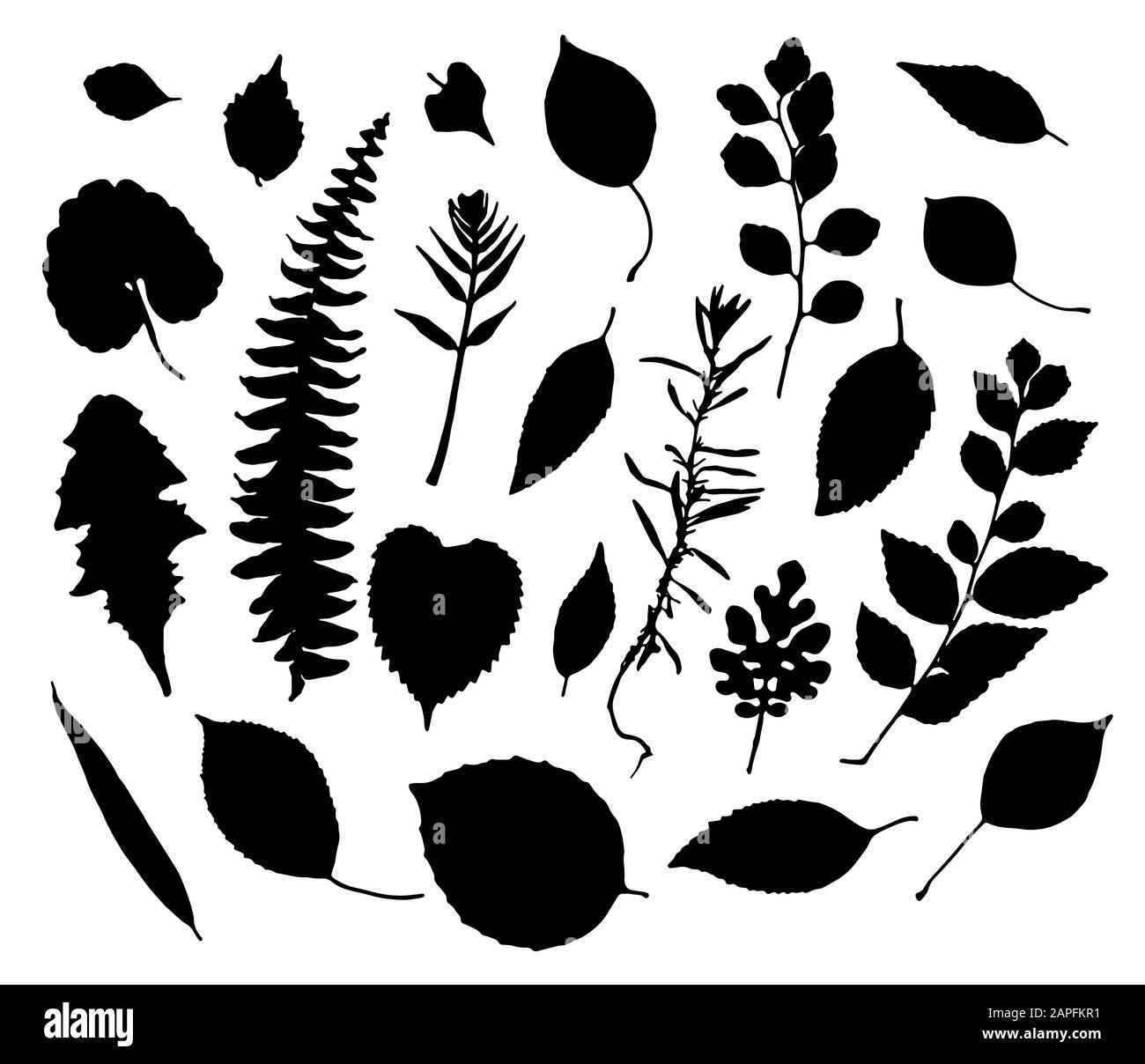 Vector set of leaves silhouette Stock Vector Image & Art - Alamy