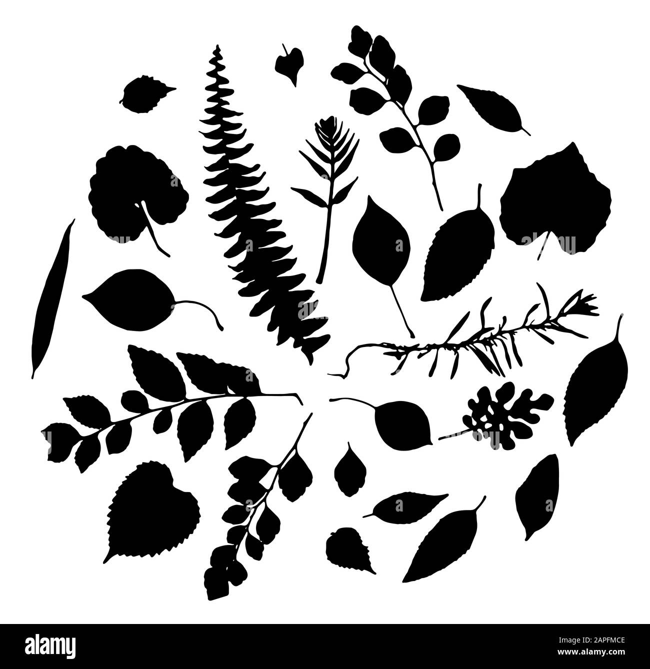 Vector set of leaves silhouette Stock Vector Image & Art - Alamy