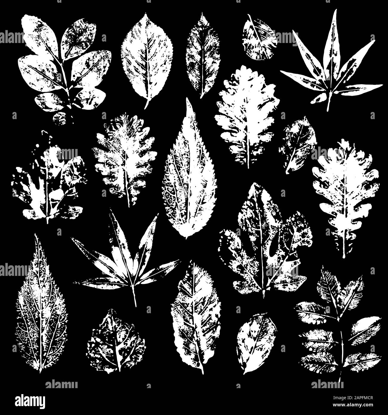 Leaves imprints set. Vector illustration Stock Vector
