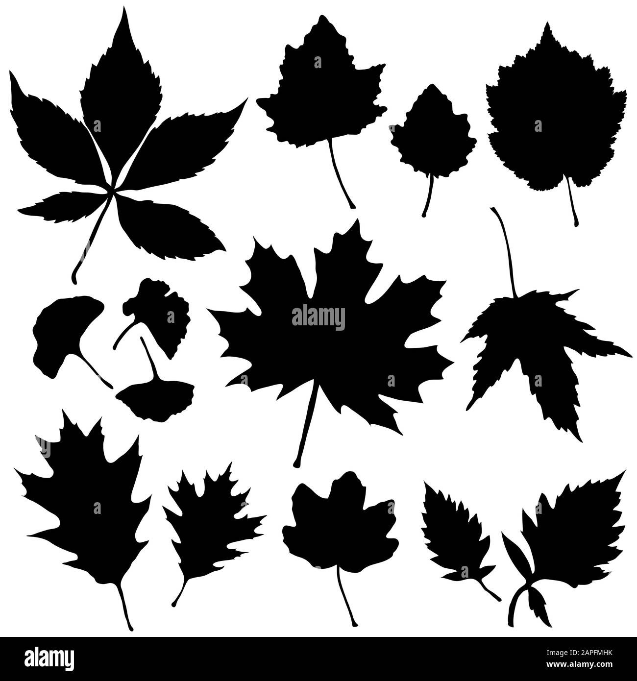 Vector set of leaves silhouette Stock Vector Image & Art - Alamy