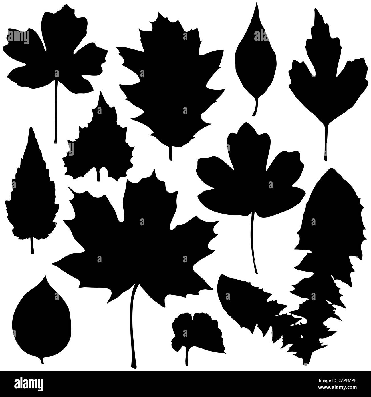 Black leaves Black and White Stock Photos & Images - Alamy