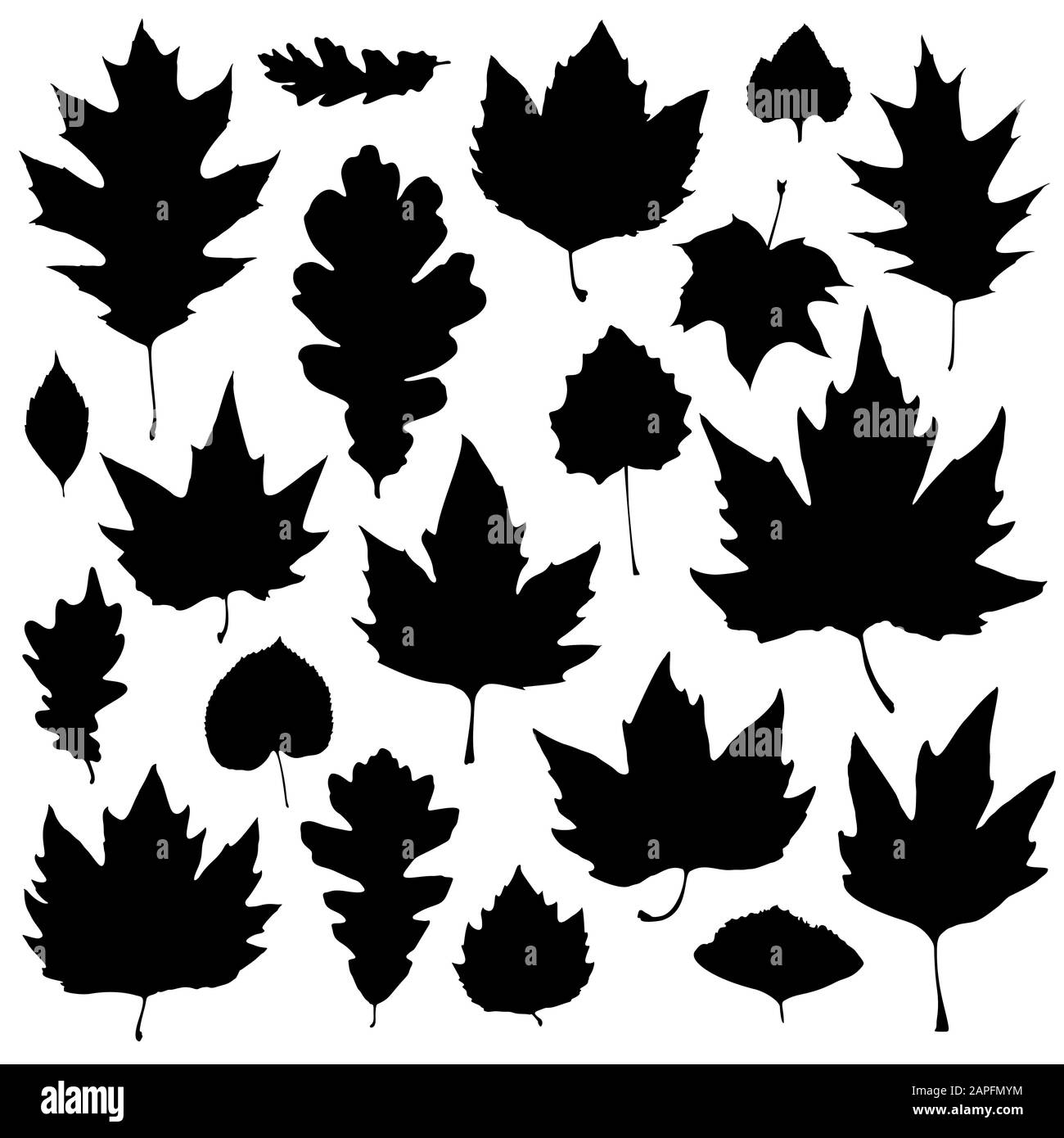 Leaves silhouettes set isolated on white background. Vector ...