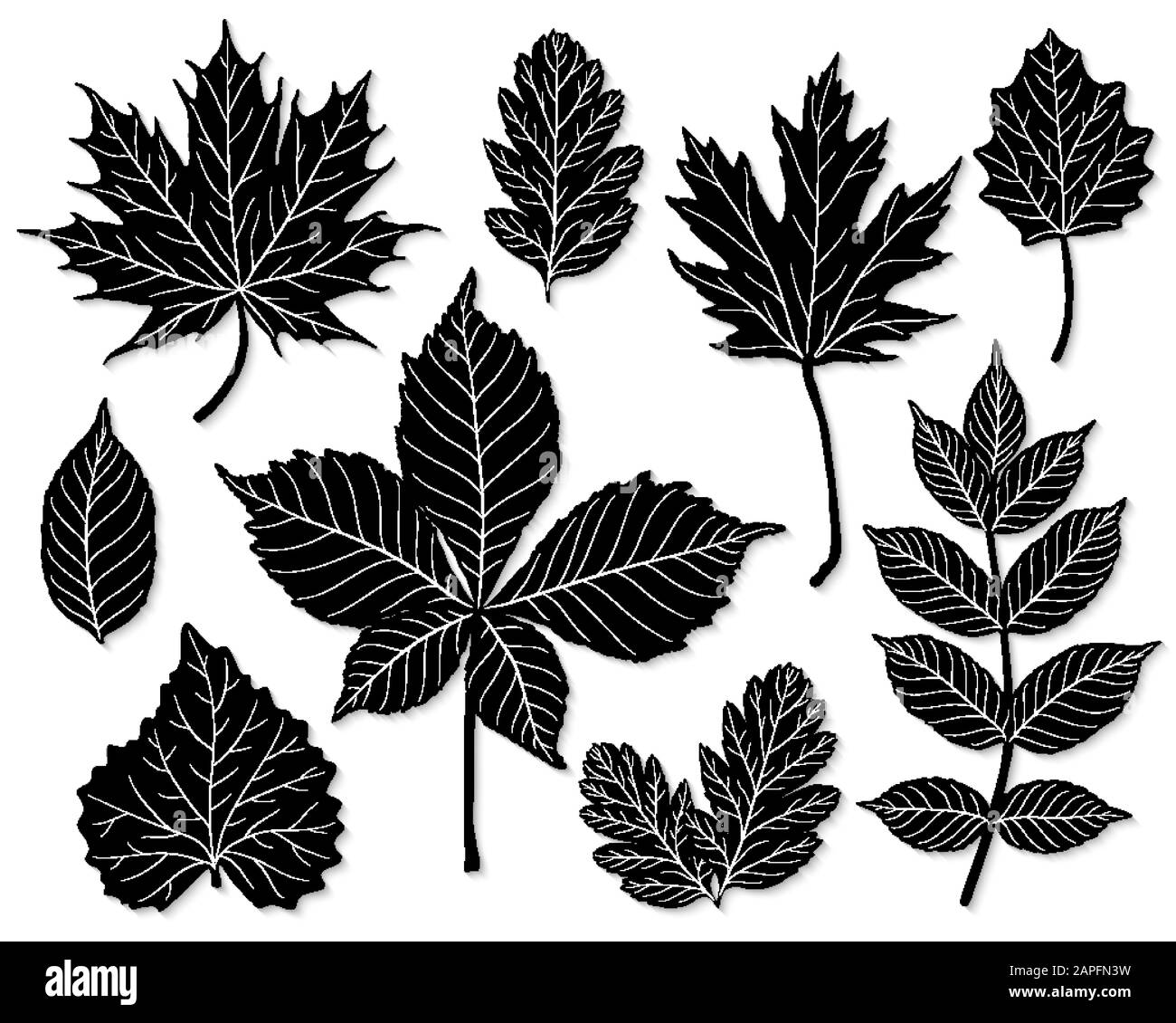Vector set of leaves silhouette Stock Vector Image & Art - Alamy