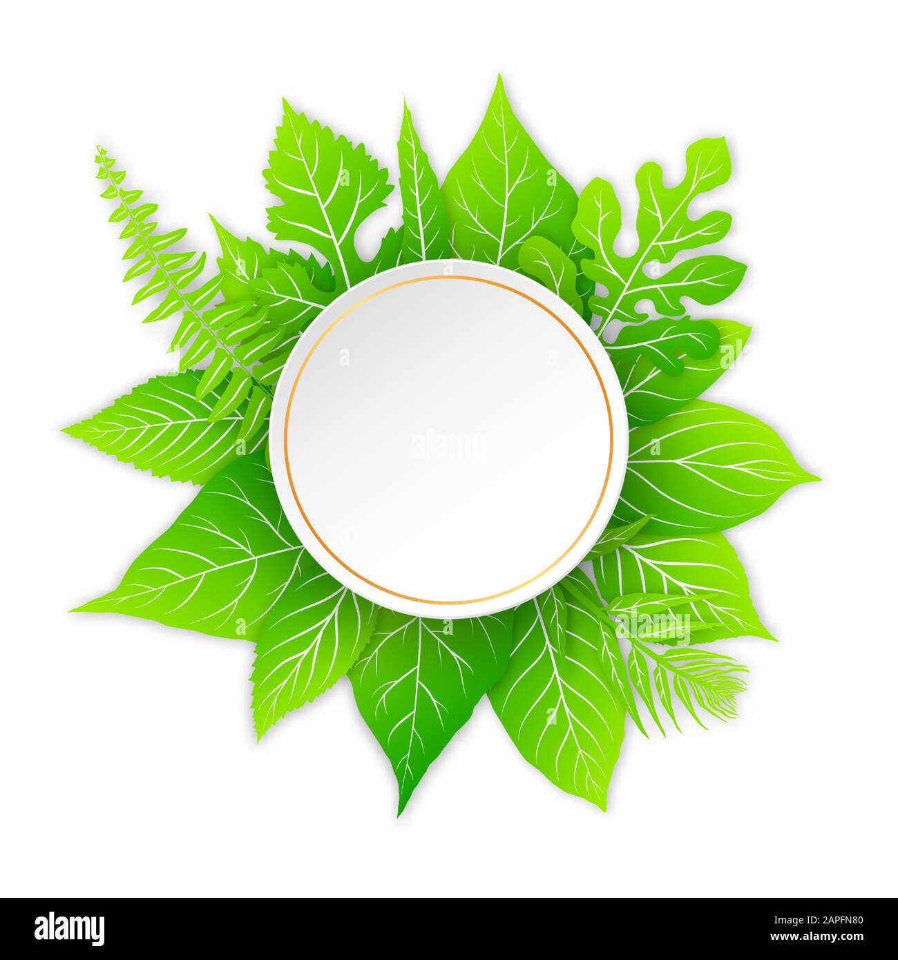 Vector frame with green leaves Stock Vector Image & Art - Alamy
