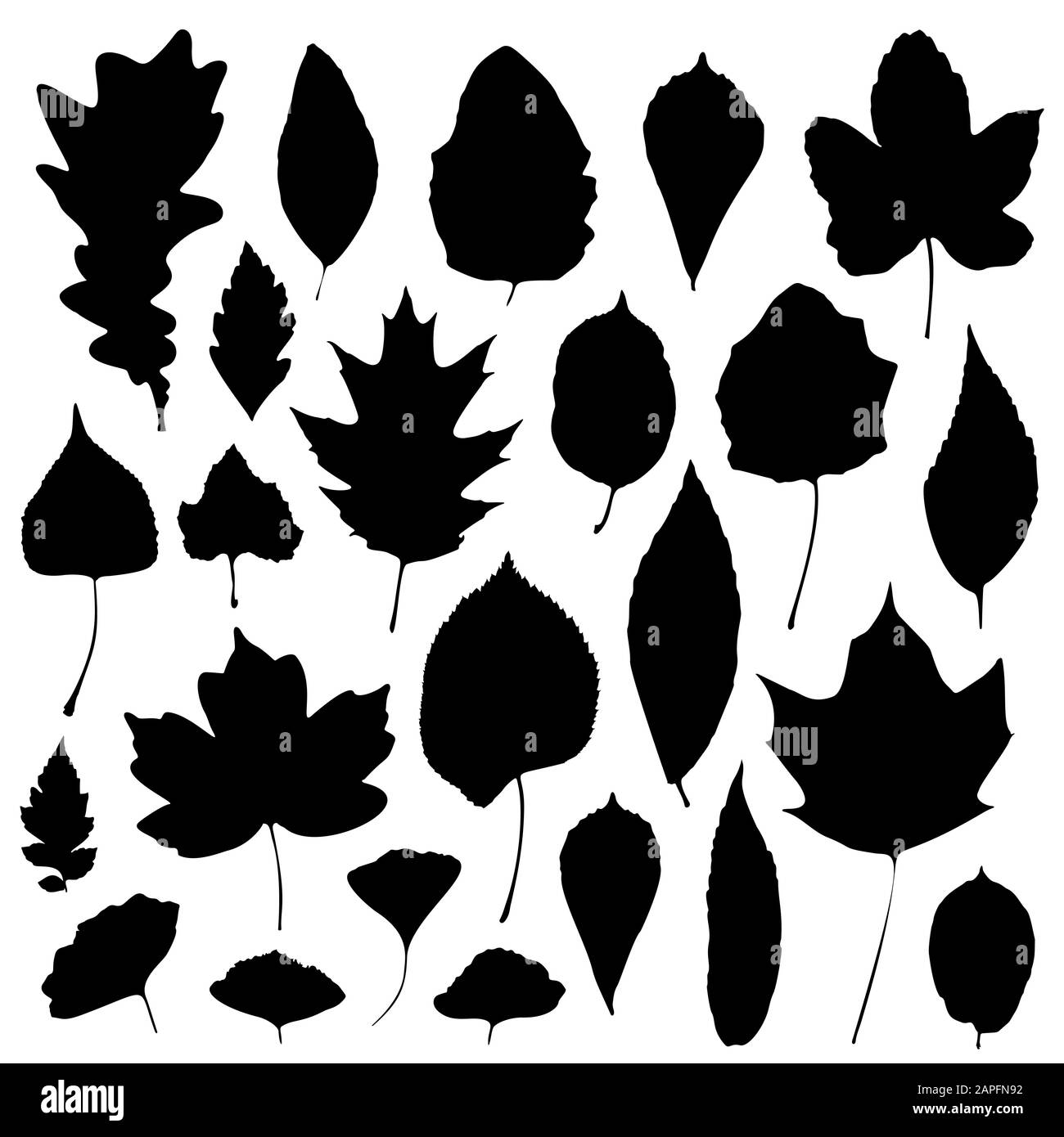 Leaves silhouettes set isolated on white background. Vector ...