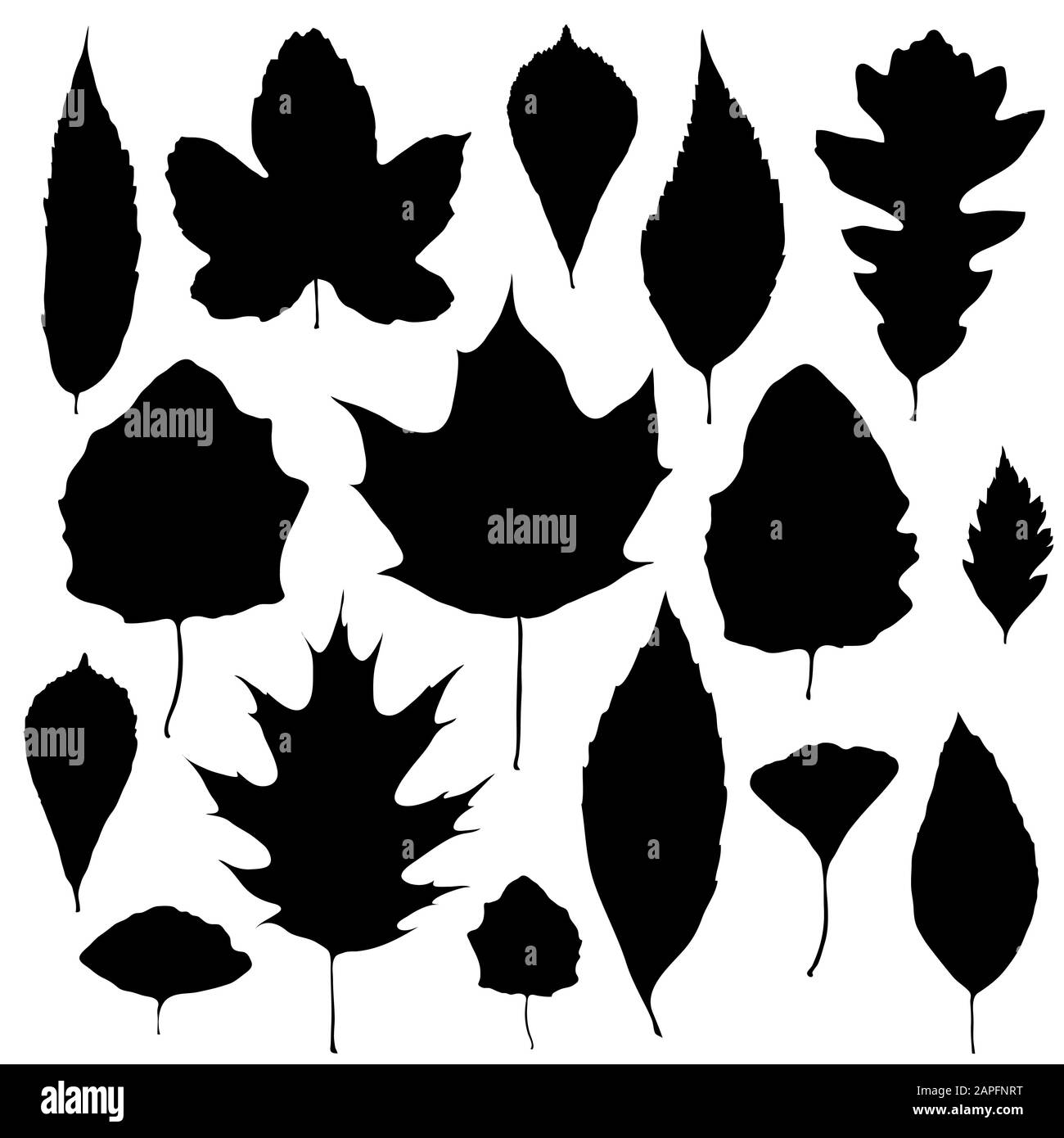 Leaves silhouette set isolated on white background vector Stock Vector ...
