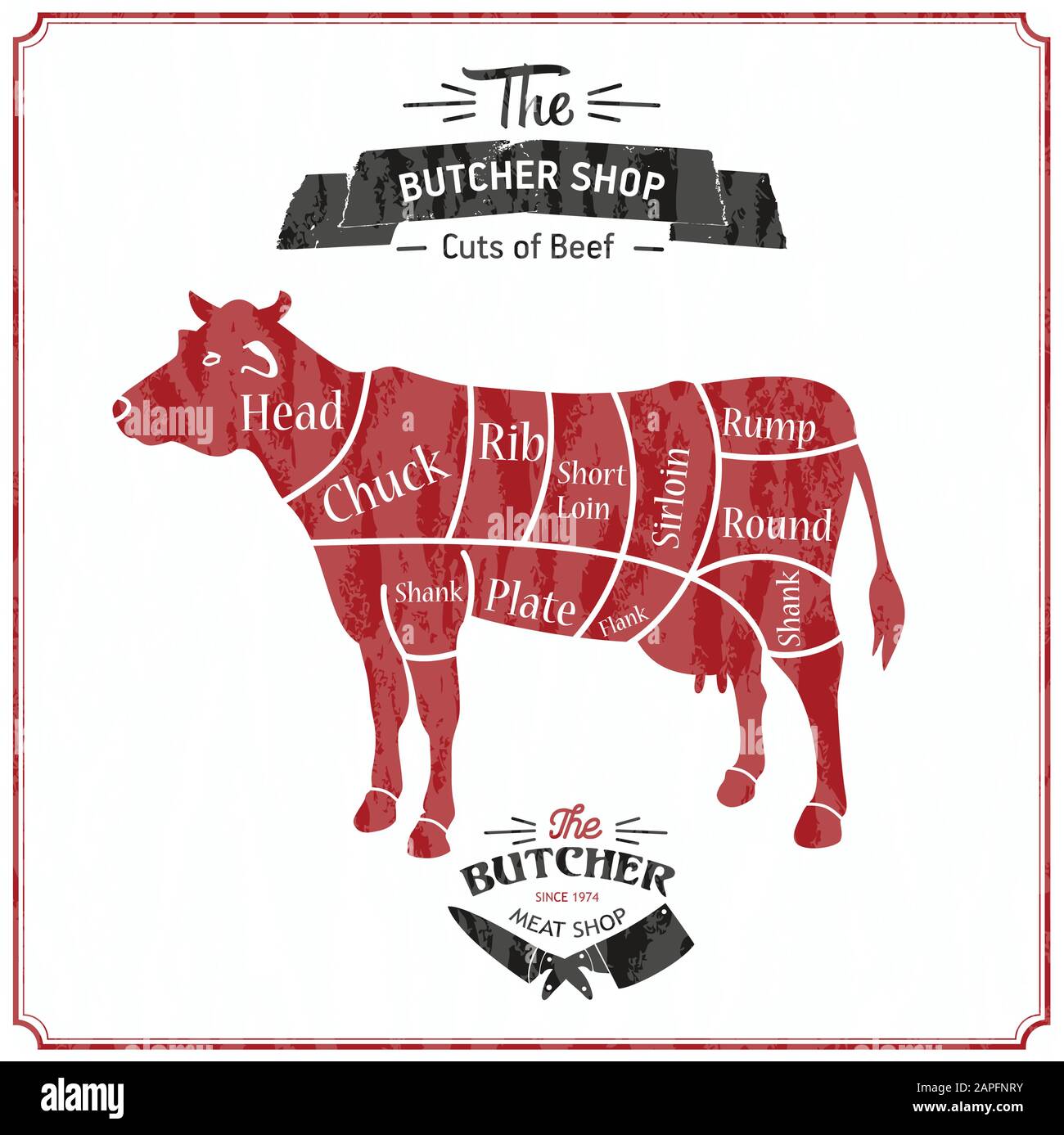 Vector Beef Cuts Diagram in vintage style of meat Stock Vector