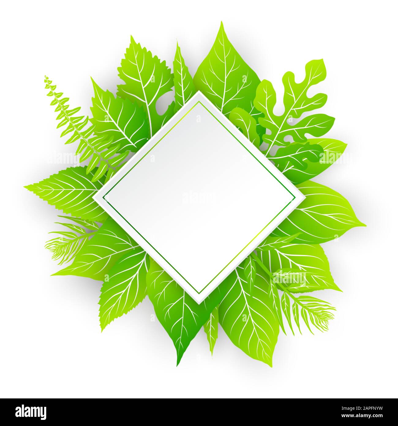 Vector frame with green leaves Stock Vector