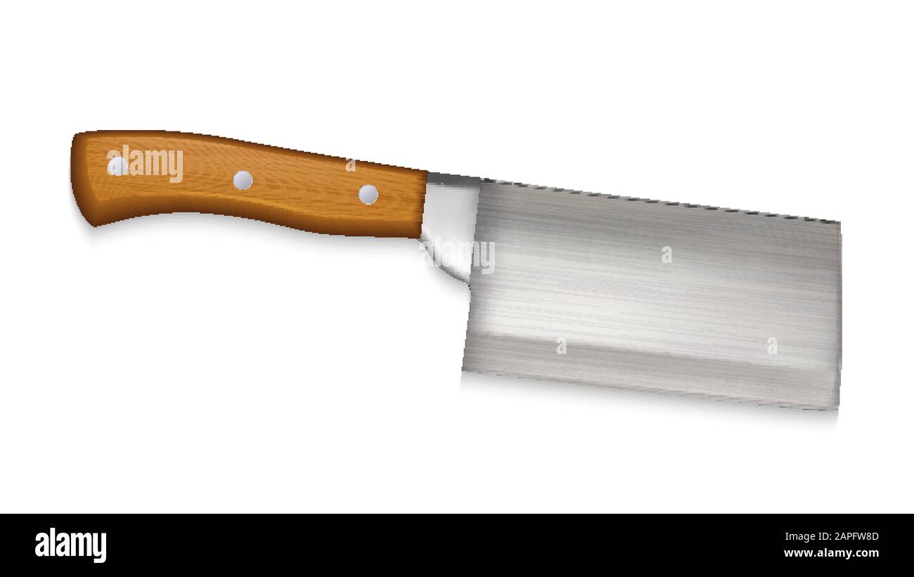 Cleaver Large Cook Knife With Walnut Handle Vector Stock Vector Image ...