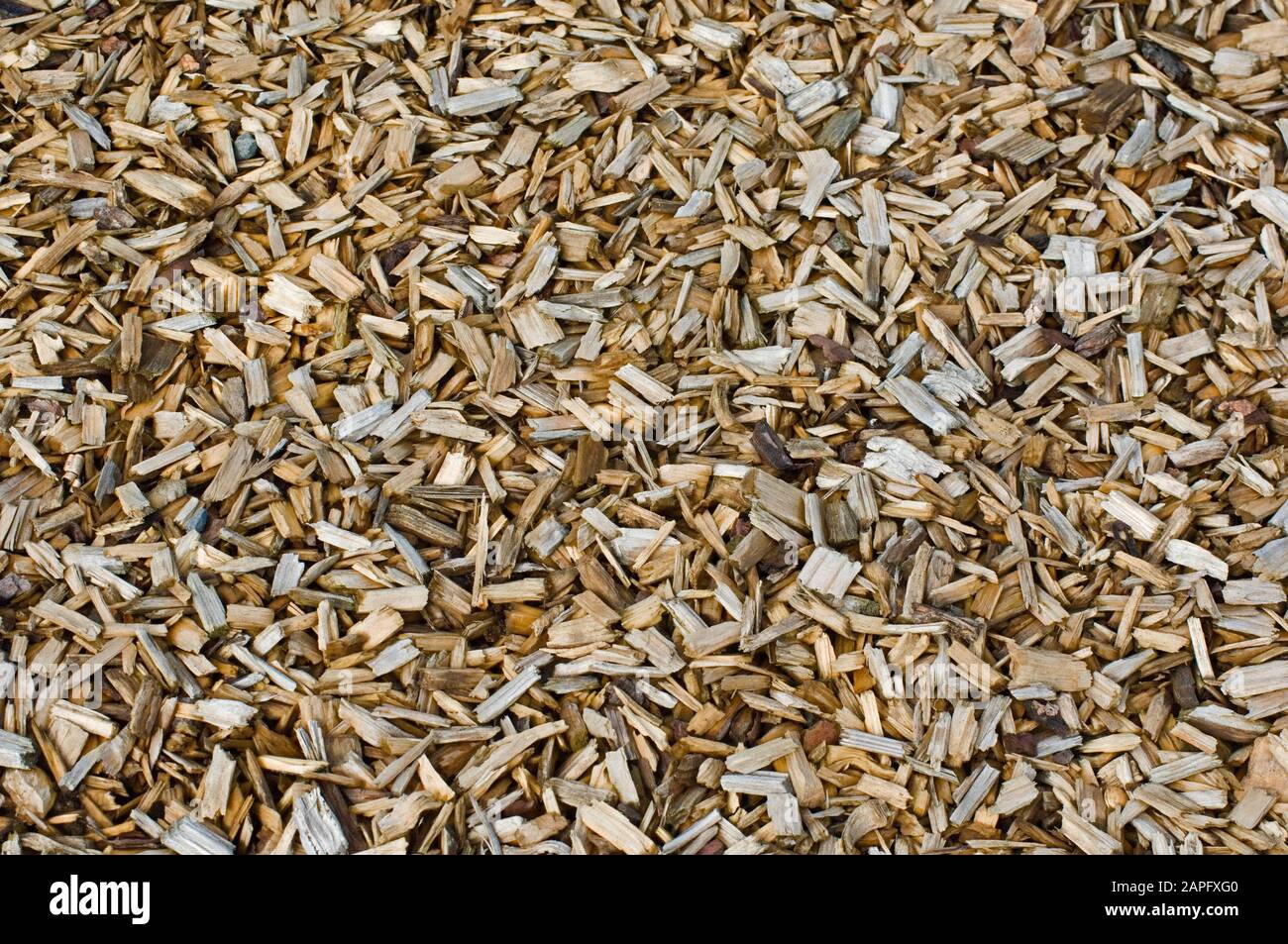 Woodchip mulch Stock Photo