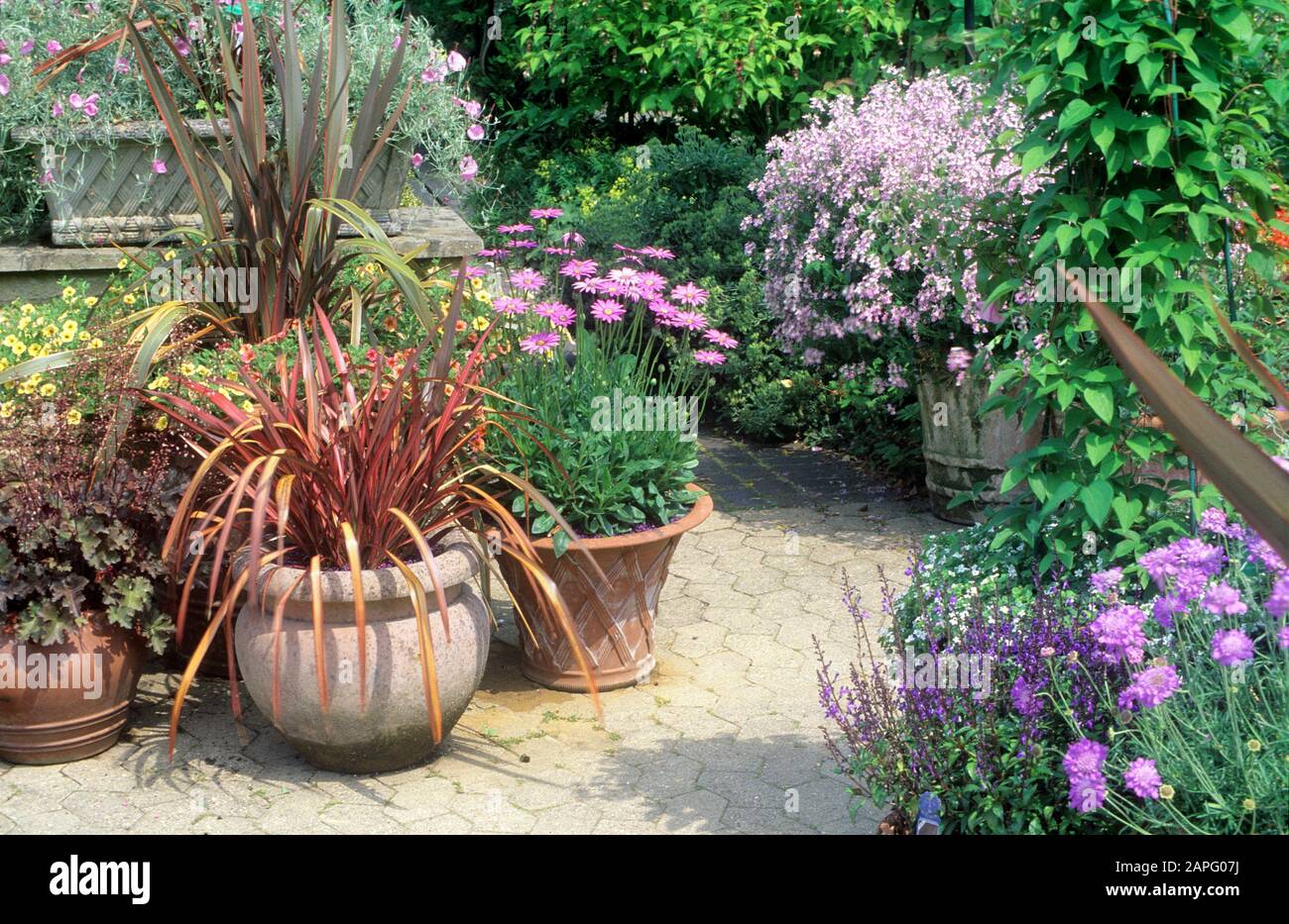 Page 2 Phormium High Resolution Stock Photography And Images Alamy