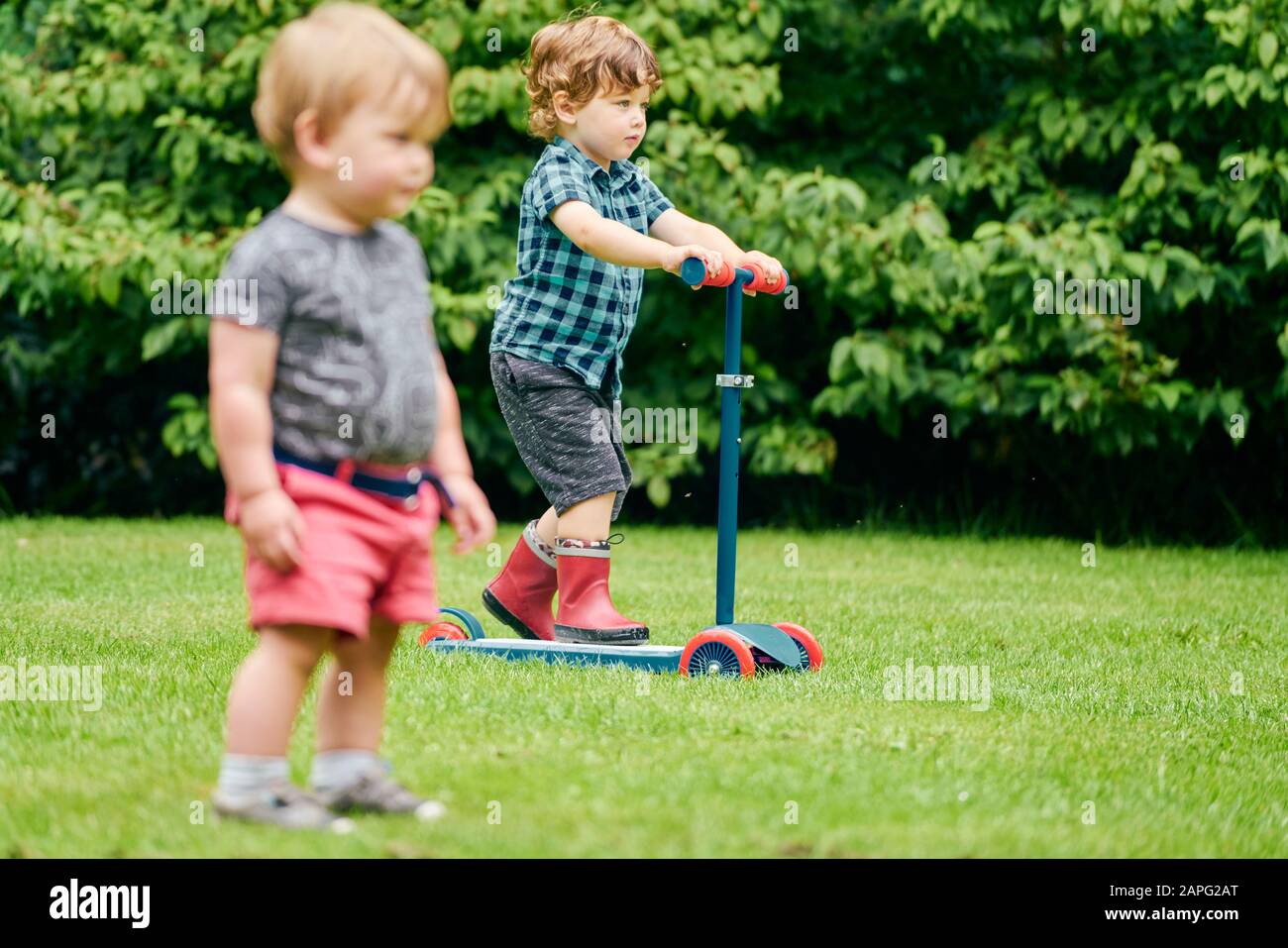 Toddlers exploring and riding push scooter in park Stock Photo