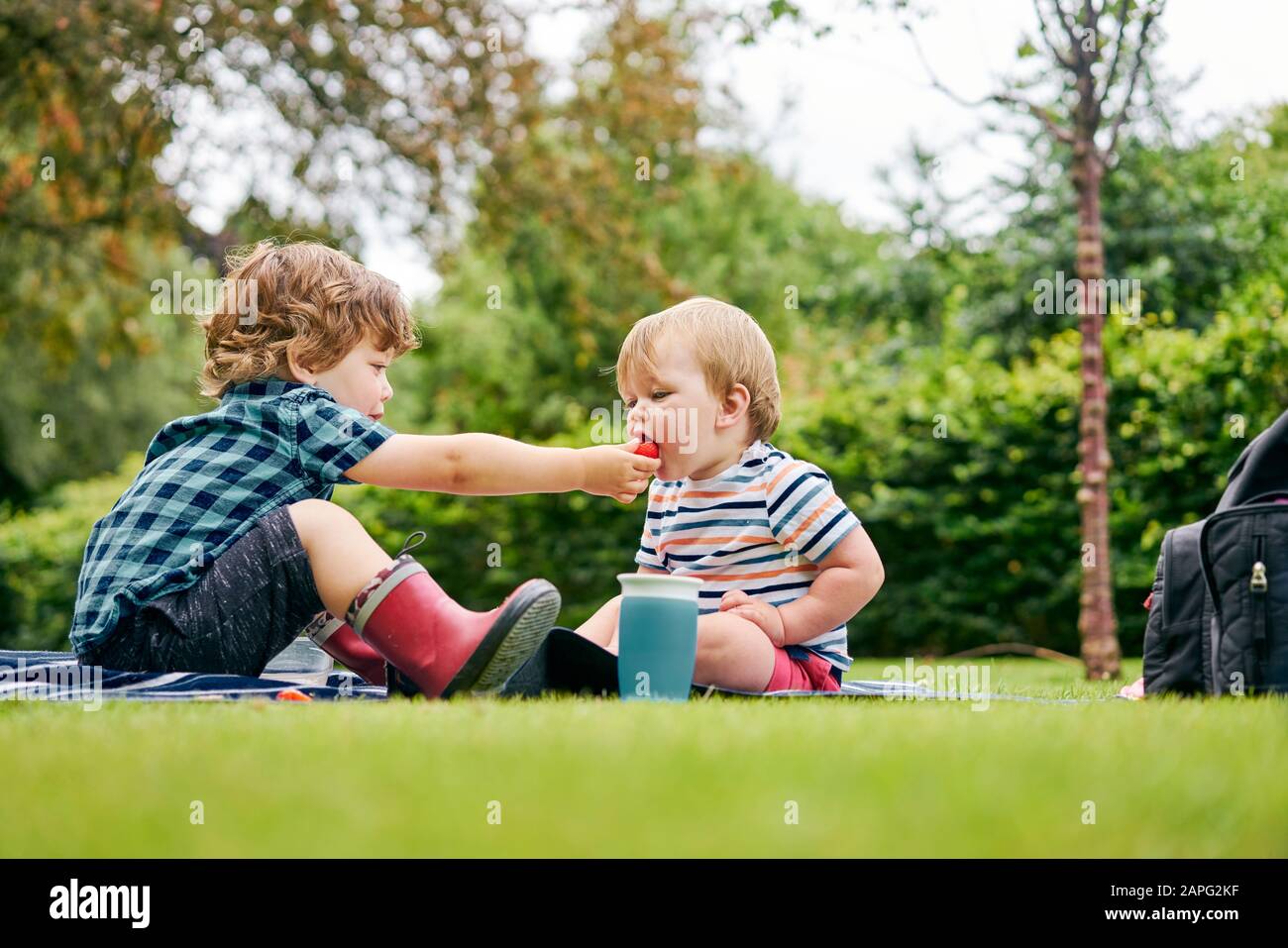 Brothers sharing food in park Stock Photo Alamy