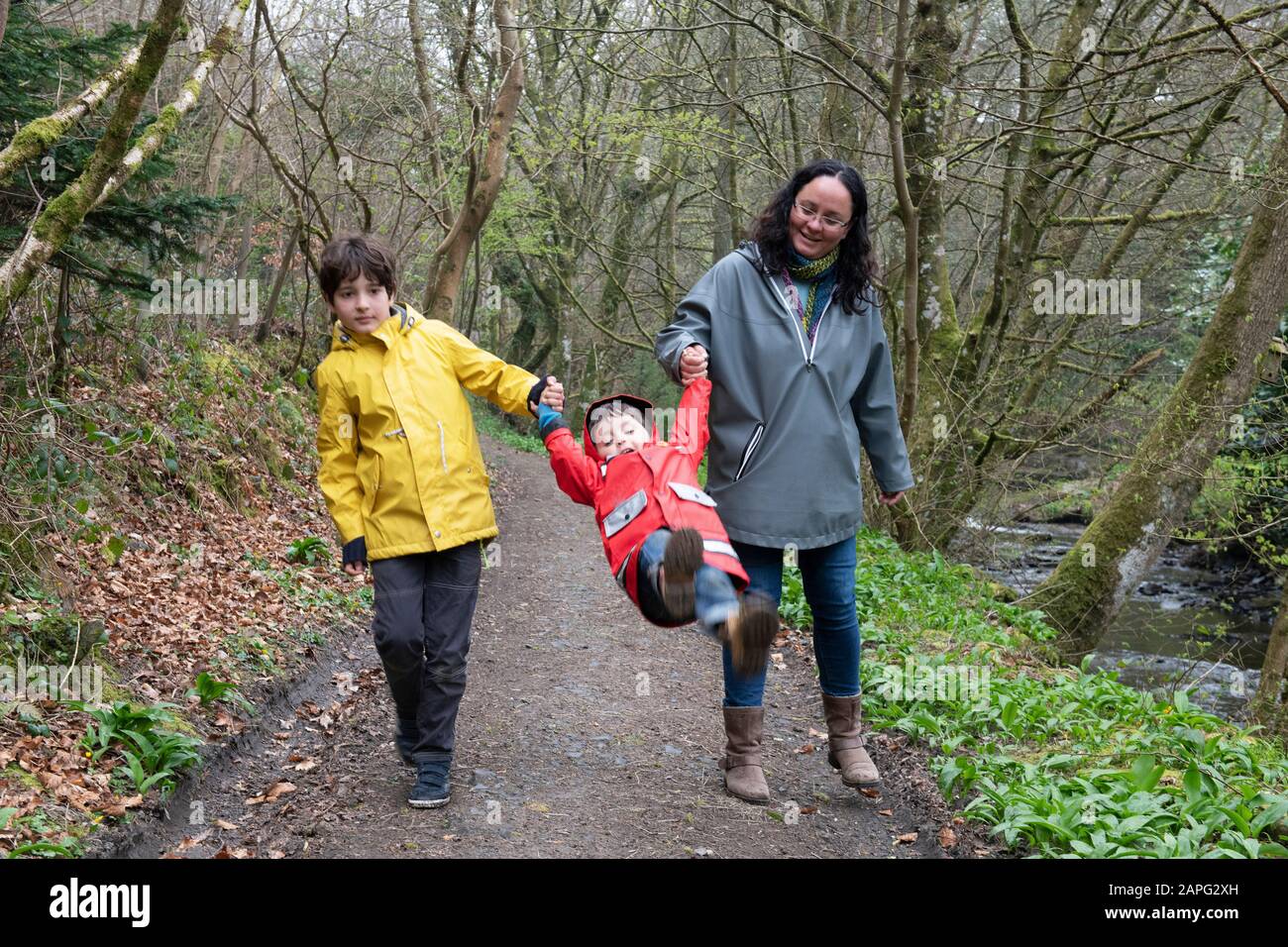 Mother and sons walking together on a rainy misty day in woodland. Stock Photo