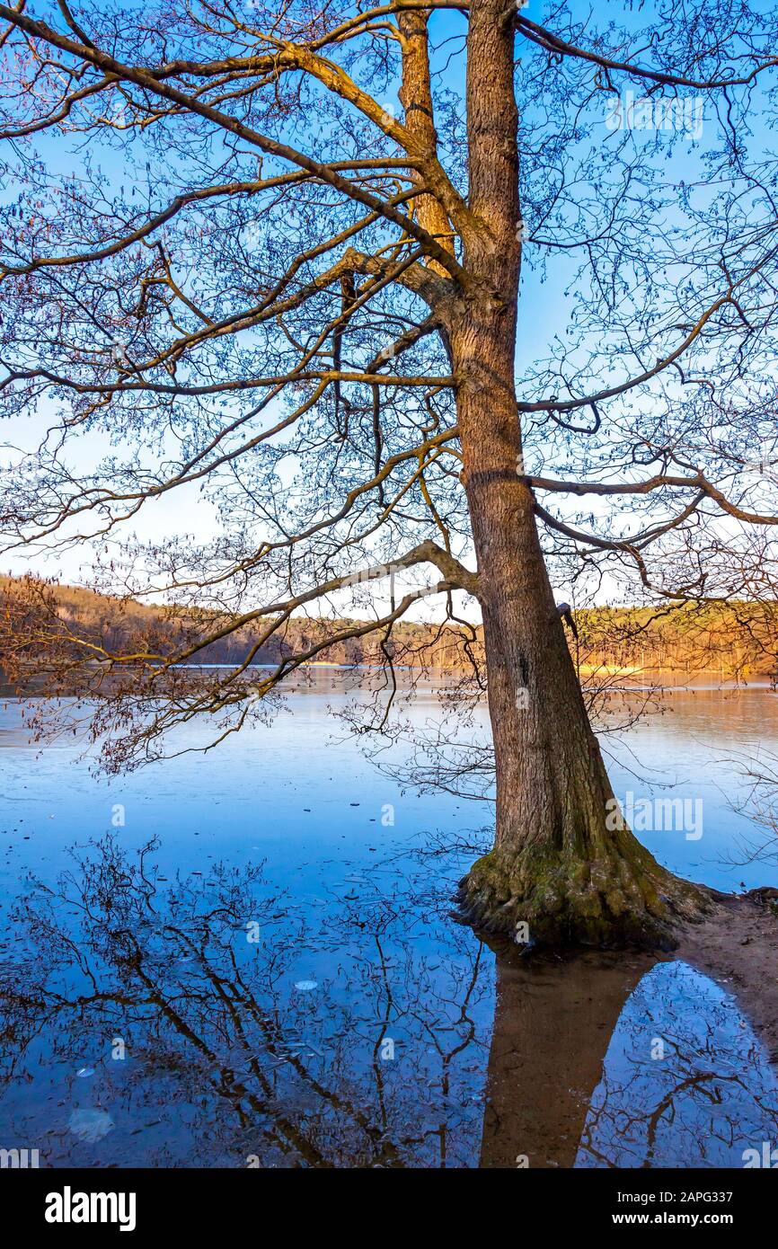 Winter view of Schlachtensee lake in Berlin, Germany. Schlachtensee is a lake in the south west