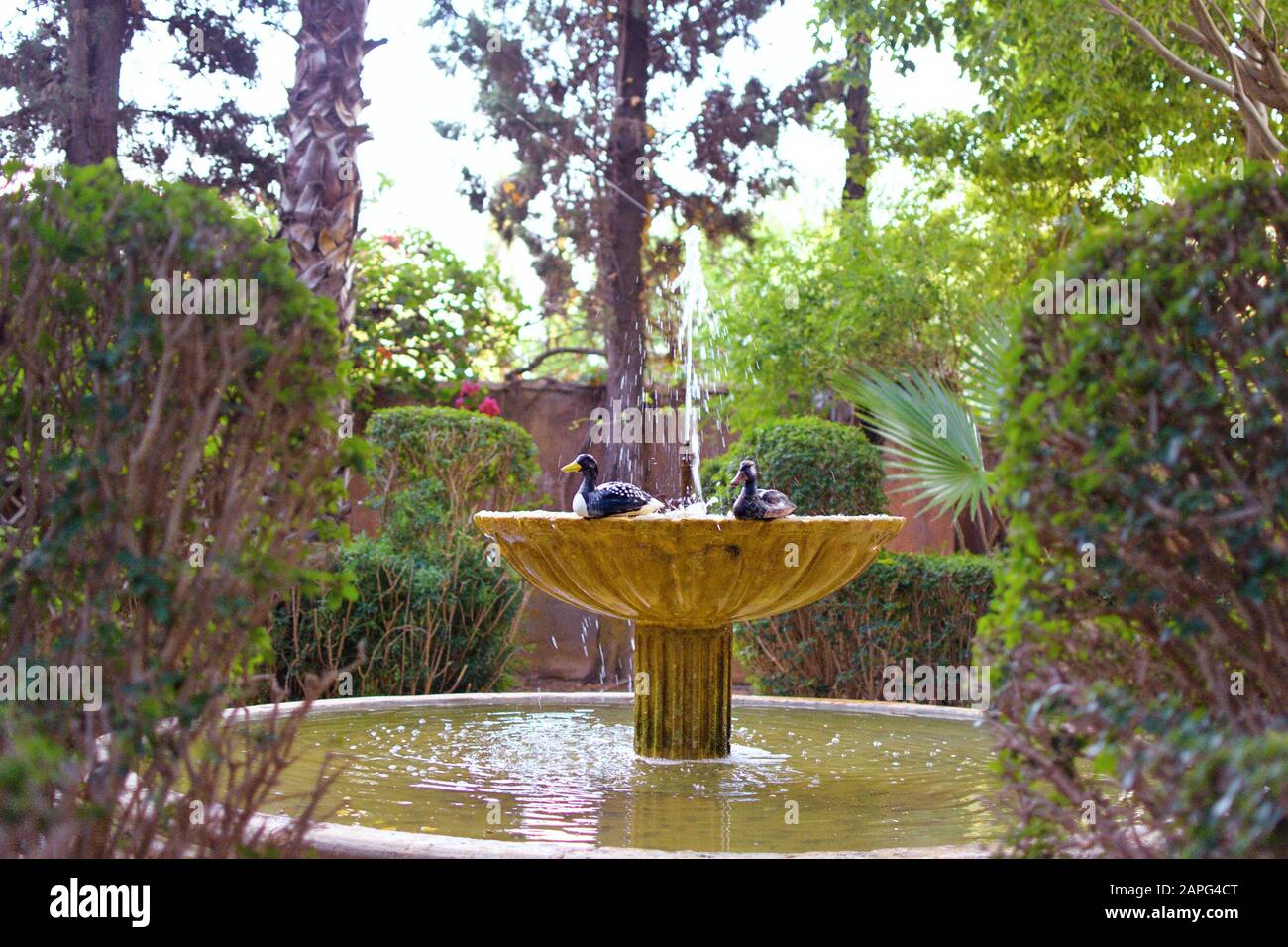 Multi tier 2025 water fountain