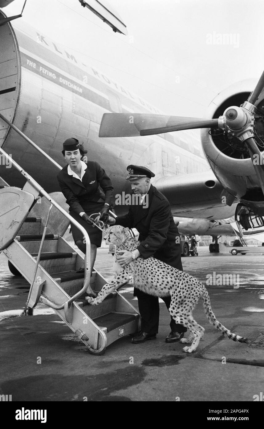 1961 africa airport hires stock photography and images Alamy