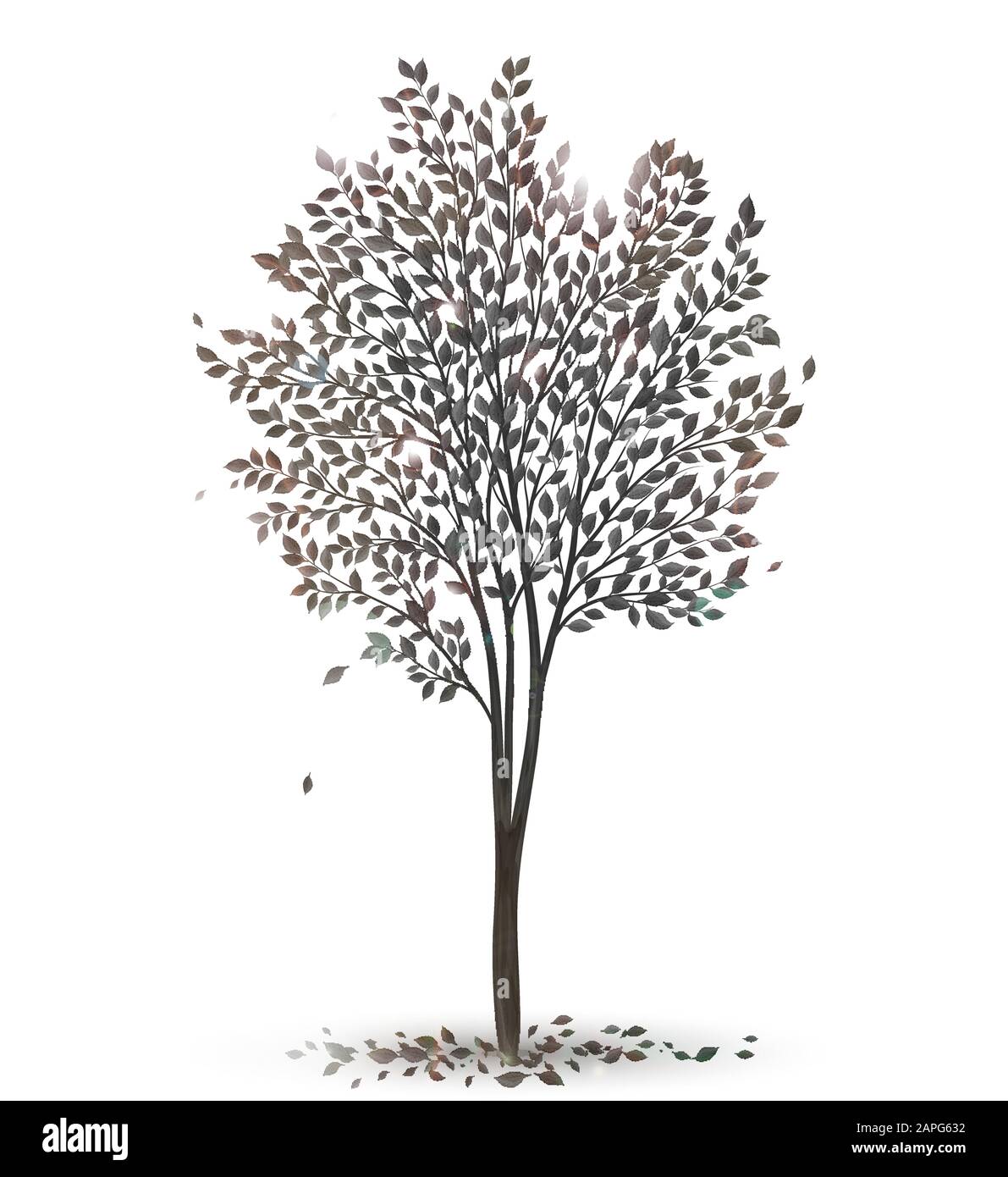 Tree with leaves silhouette vector Stock Vector Image & Art - Alamy