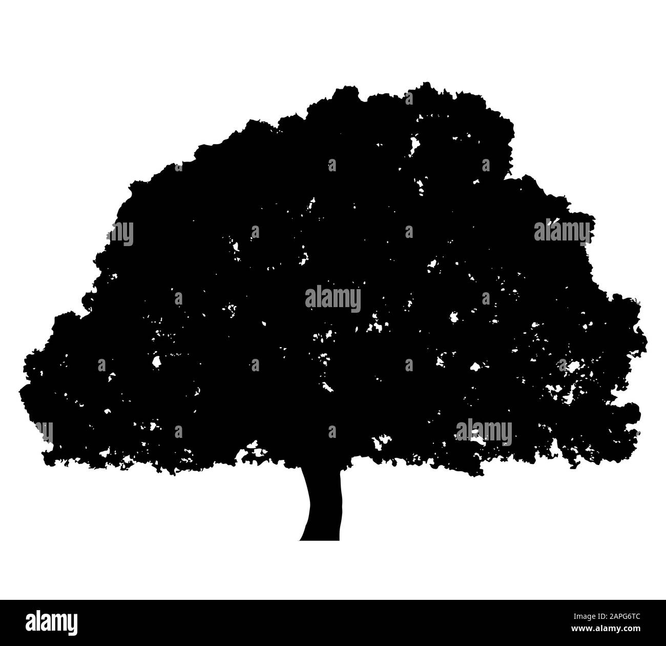 Tree silhouette isolated on white background vector Stock Vector Image ...