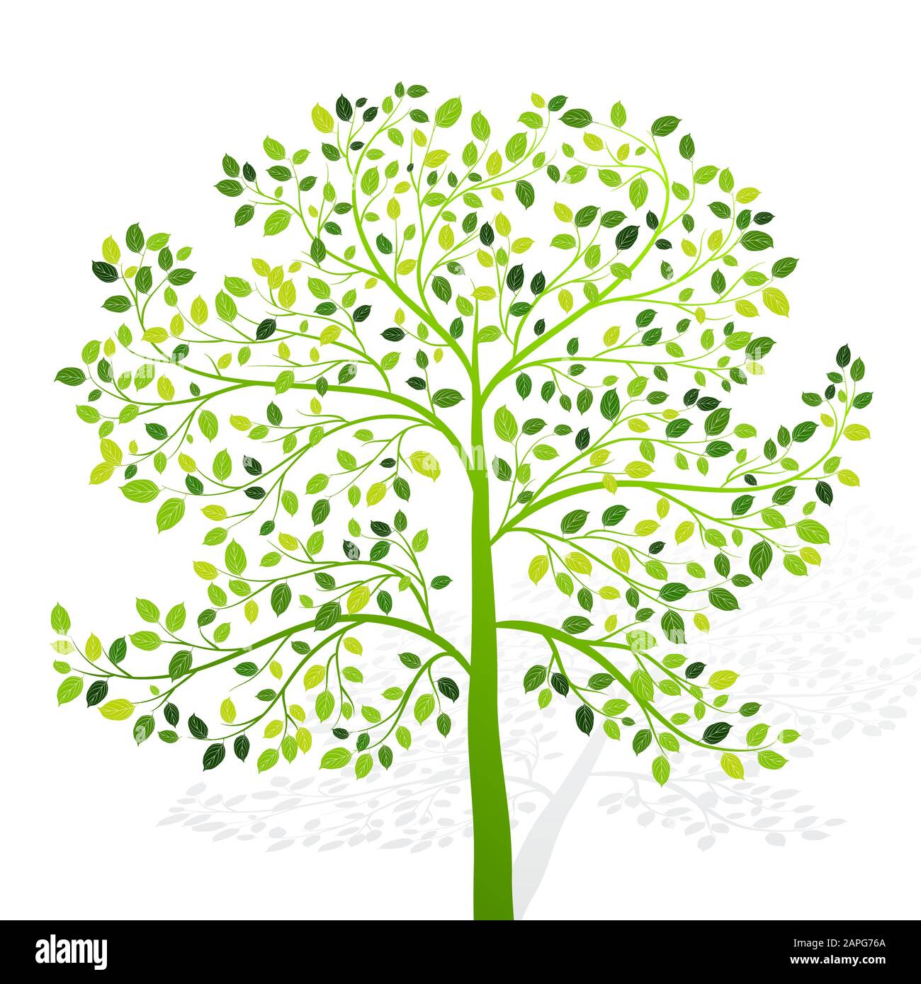 Green tree with leaves on white background vector Stock Vector Image ...