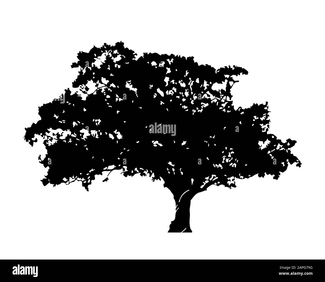 Silhouette of tree with leaves isolated on white background vector ...
