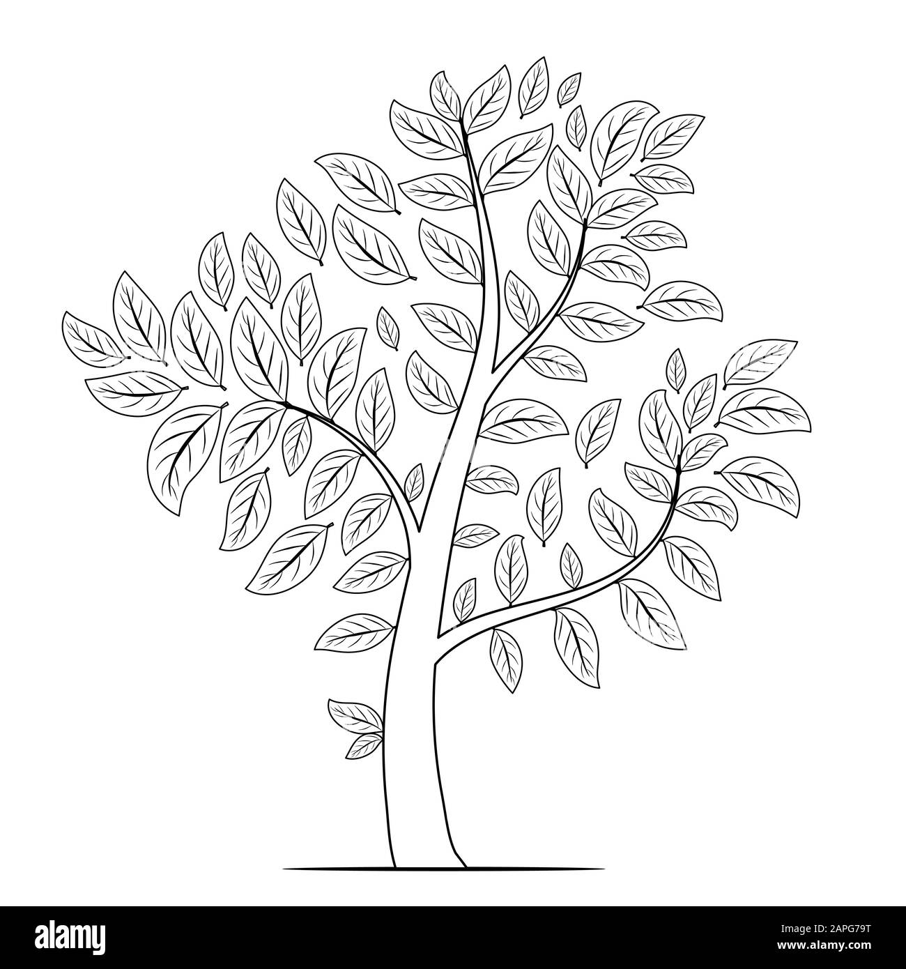 Tree with leaves silhouette on white background. Coloring book page vector Stock Vector