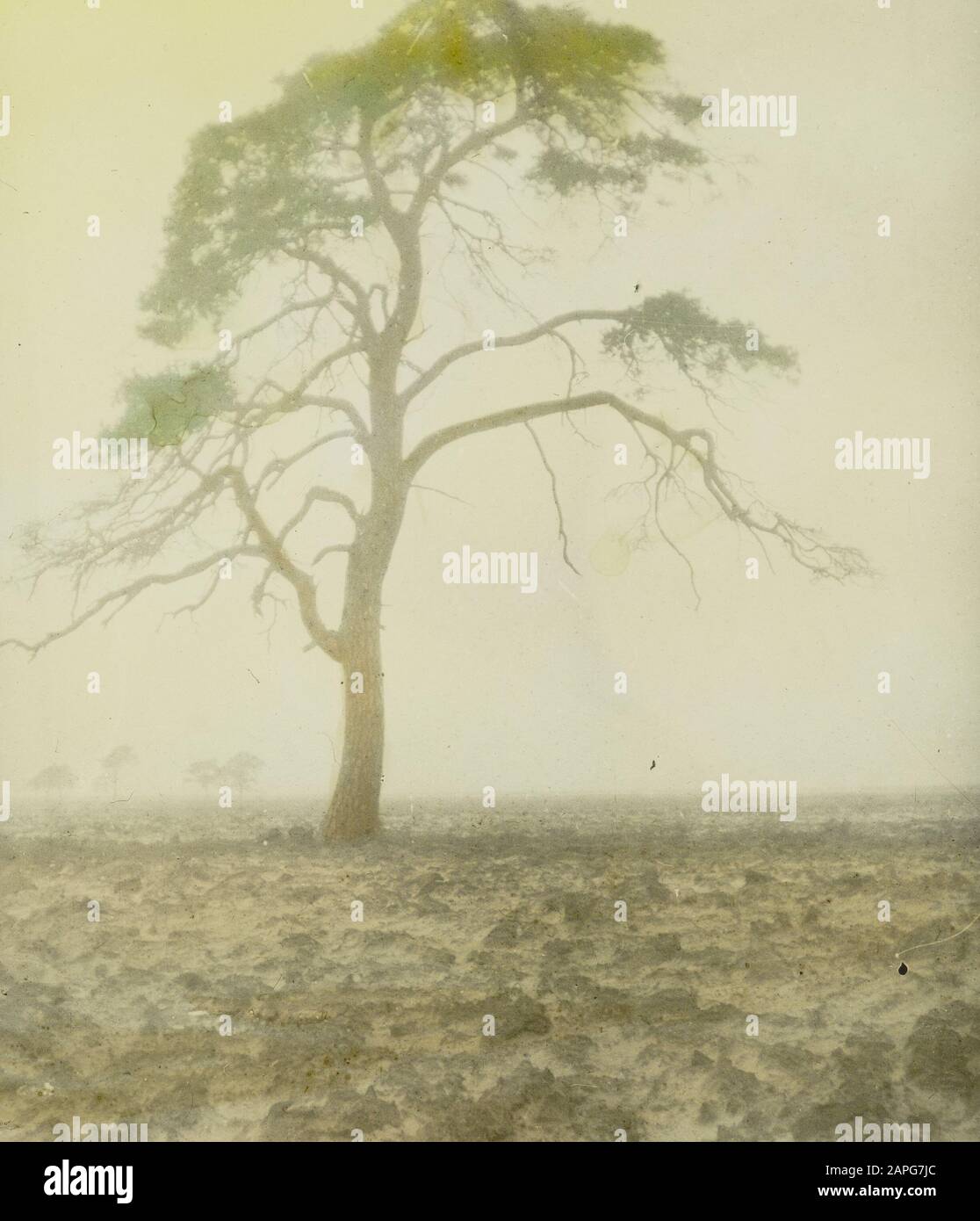 forestry, sand atomization, forestry, tillage Date: undated Keywords ...