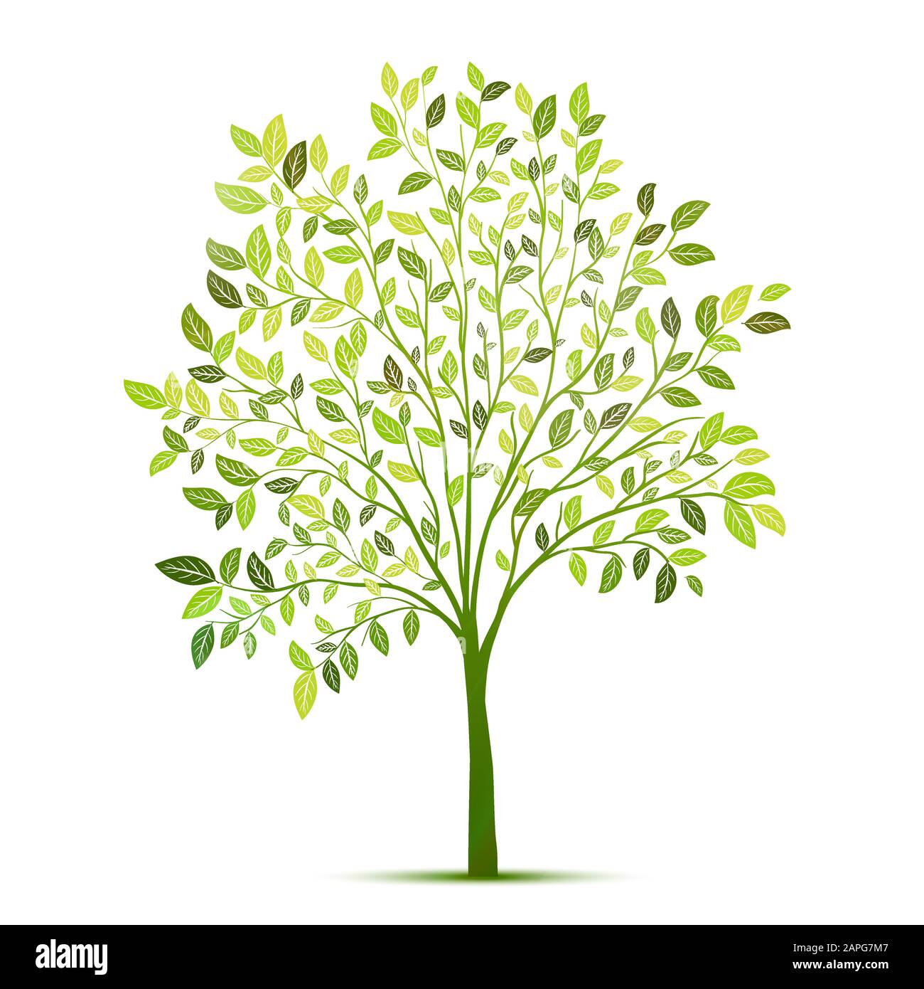 Green tree with leaves on white background vector Stock Vector Image ...