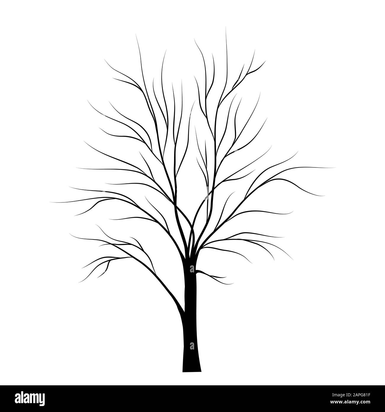 Tree silhouette isolated on white background vector Stock Vector Image ...