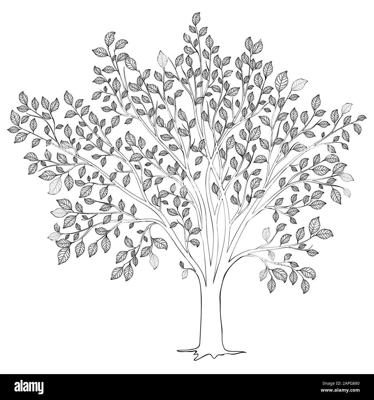 Download Tree With Leaves Silhouette Vector Coloring Book Page For Adult Stock Vector Image Art Alamy