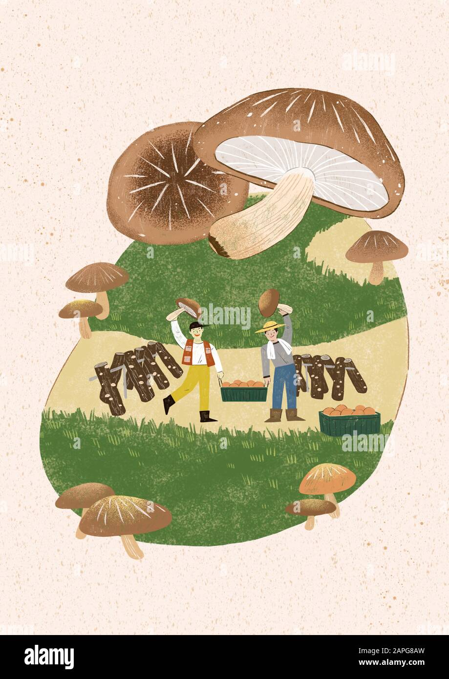 Season of harvest of fresh food materials illustration. vegetables