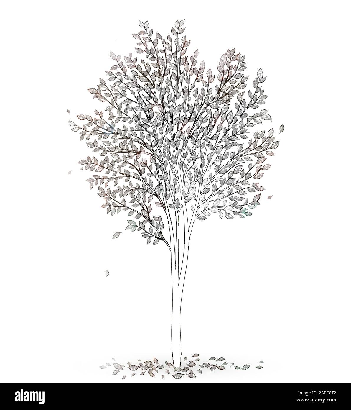 Tree with leaves on white background vector Stock Vector Image & Art ...