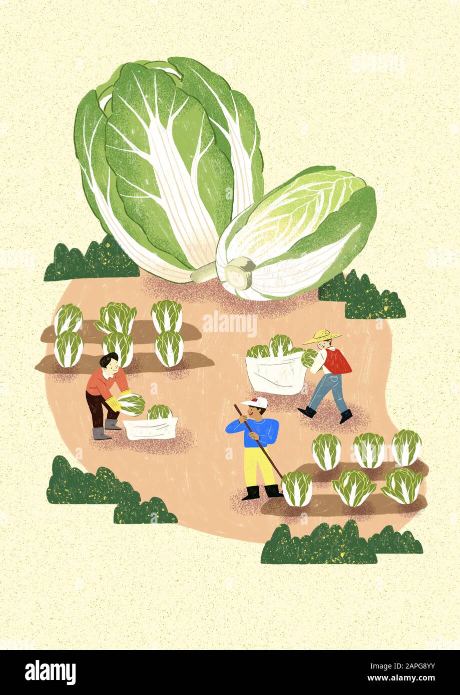 Season of harvest of fresh food materials illustration. vegetables