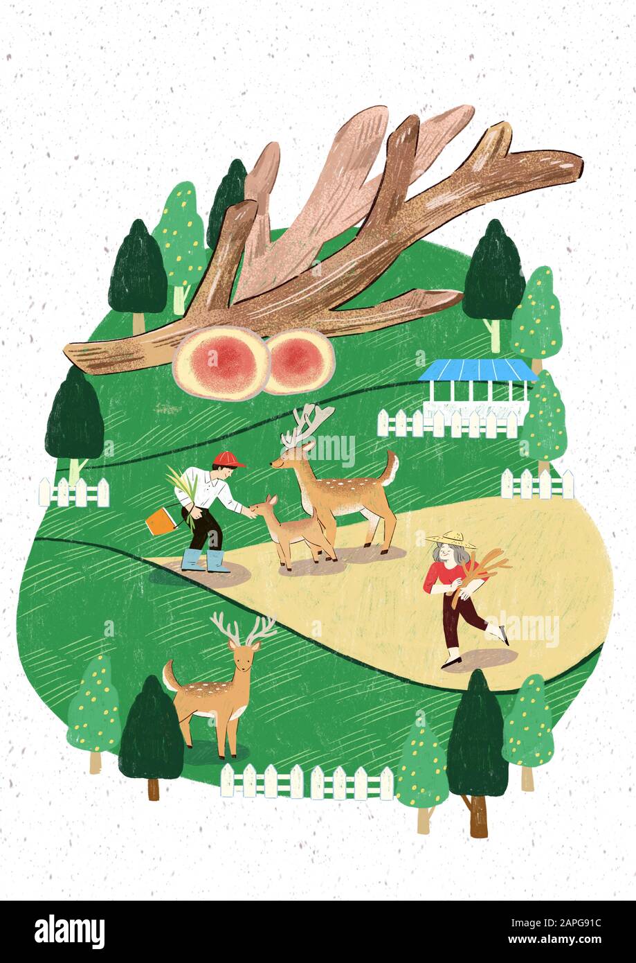 Season of harvest of fresh food materials illustration. vegetables