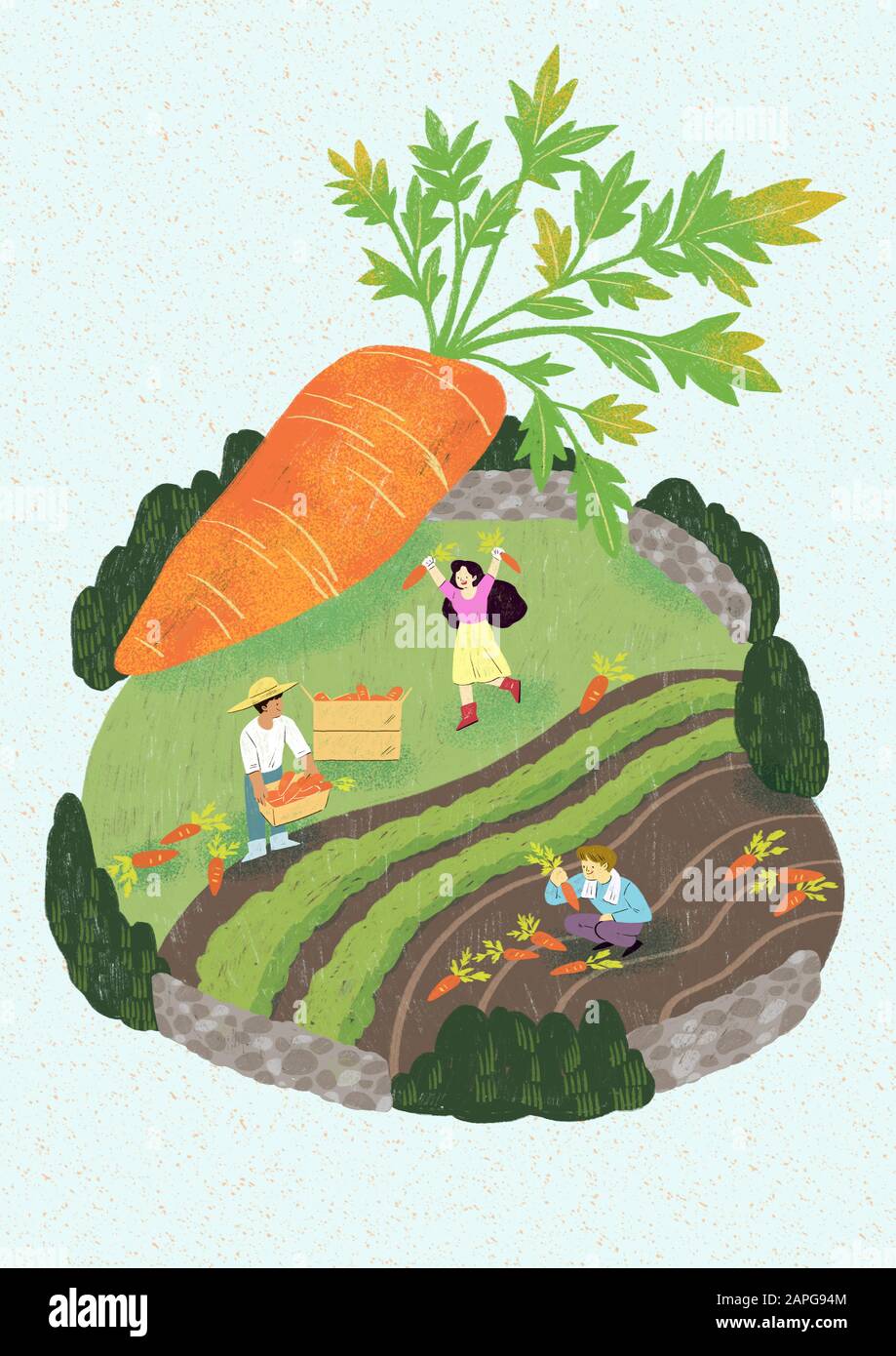 Season of harvest of fresh food materials illustration. vegetables
