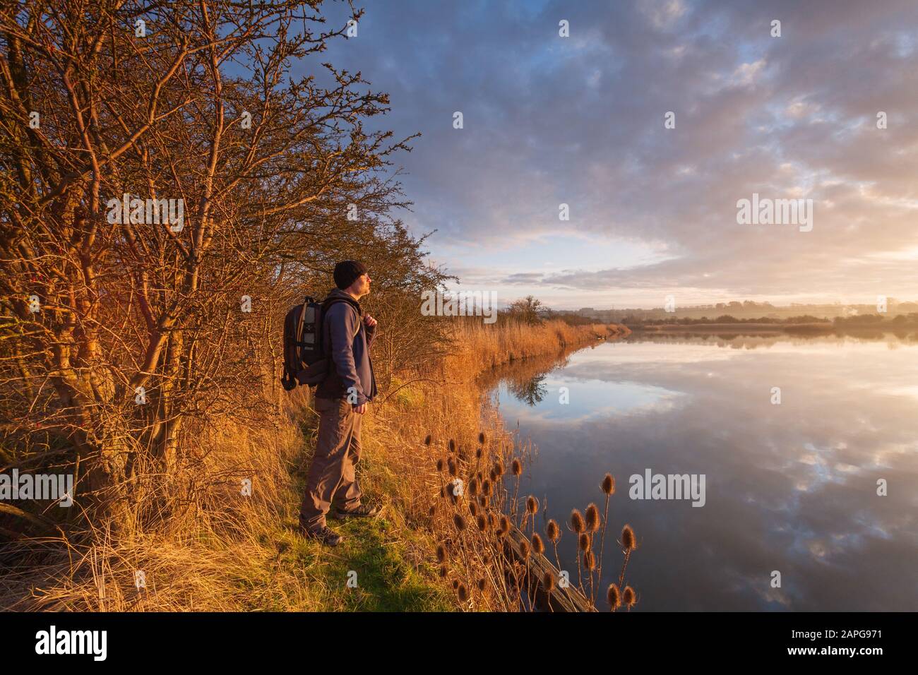 Walker in evening light at the Far Ings National Nature Reserve at Barton upon Humber in North Lincolnshire. Owned by the Lincolnshire Wildlife Trust Stock Photo