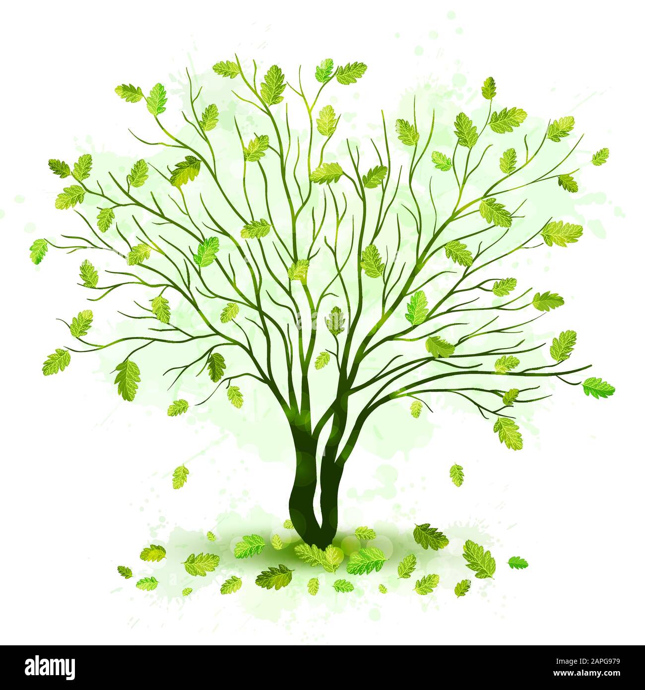Green tree with leaves vector Stock Vector Image & Art - Alamy