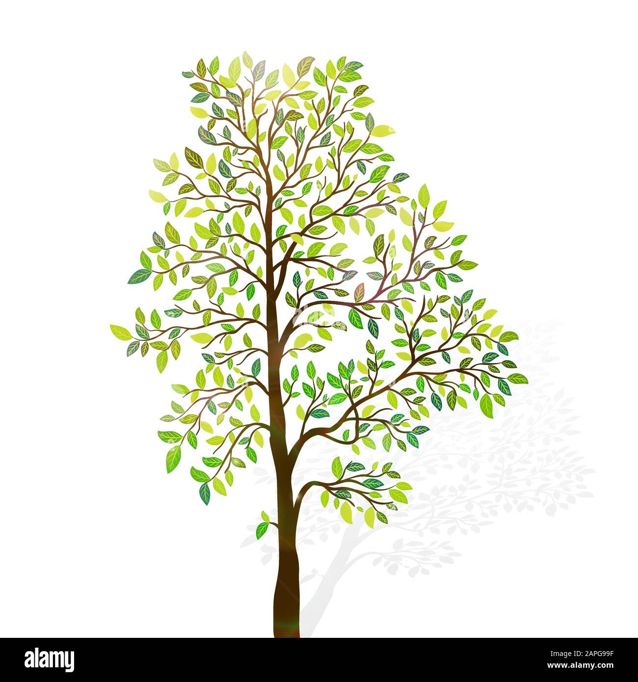 Green tree with leaves on white background vector Stock Vector Image ...