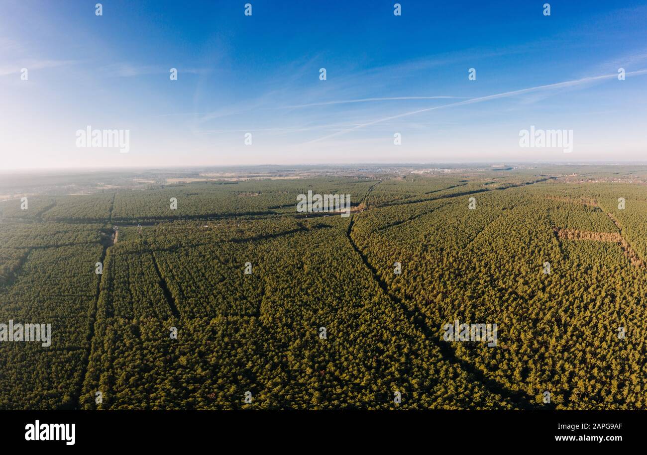 drone photo of the forest of Brandenburg, Germany Stock Photo