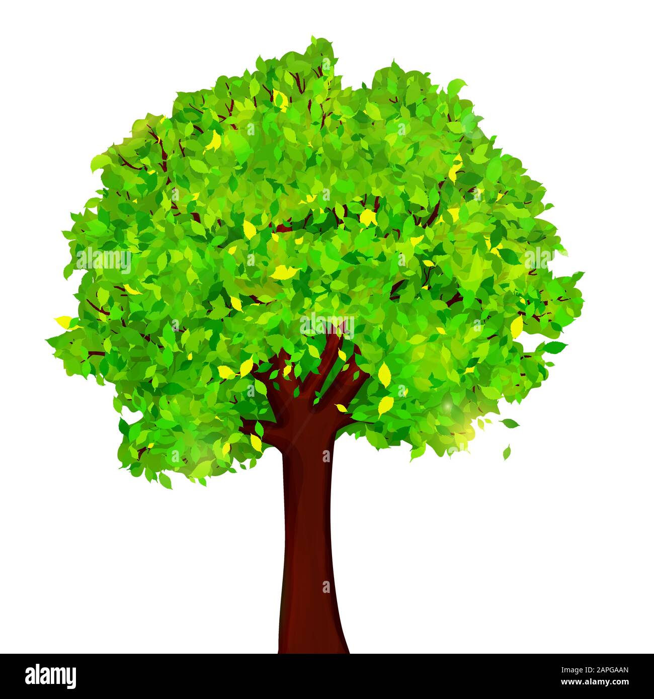 Green tree with leaves on white background vector Stock Vector Image ...