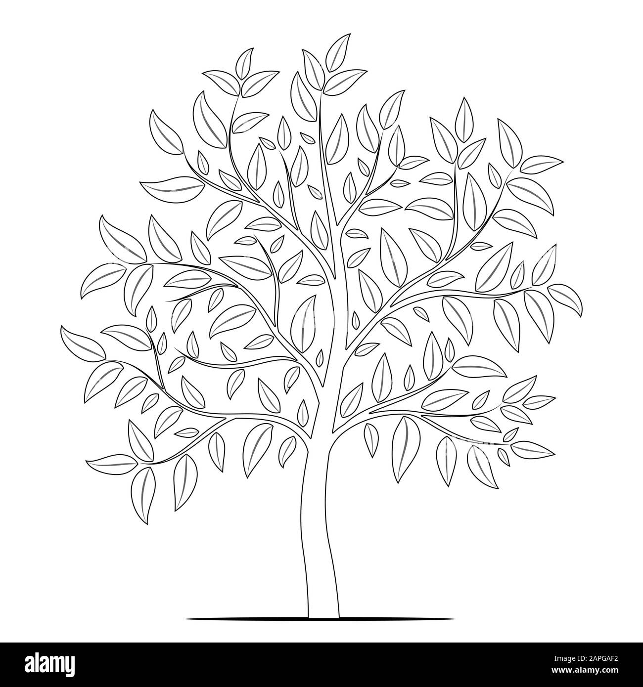 Tree Drawing Outline