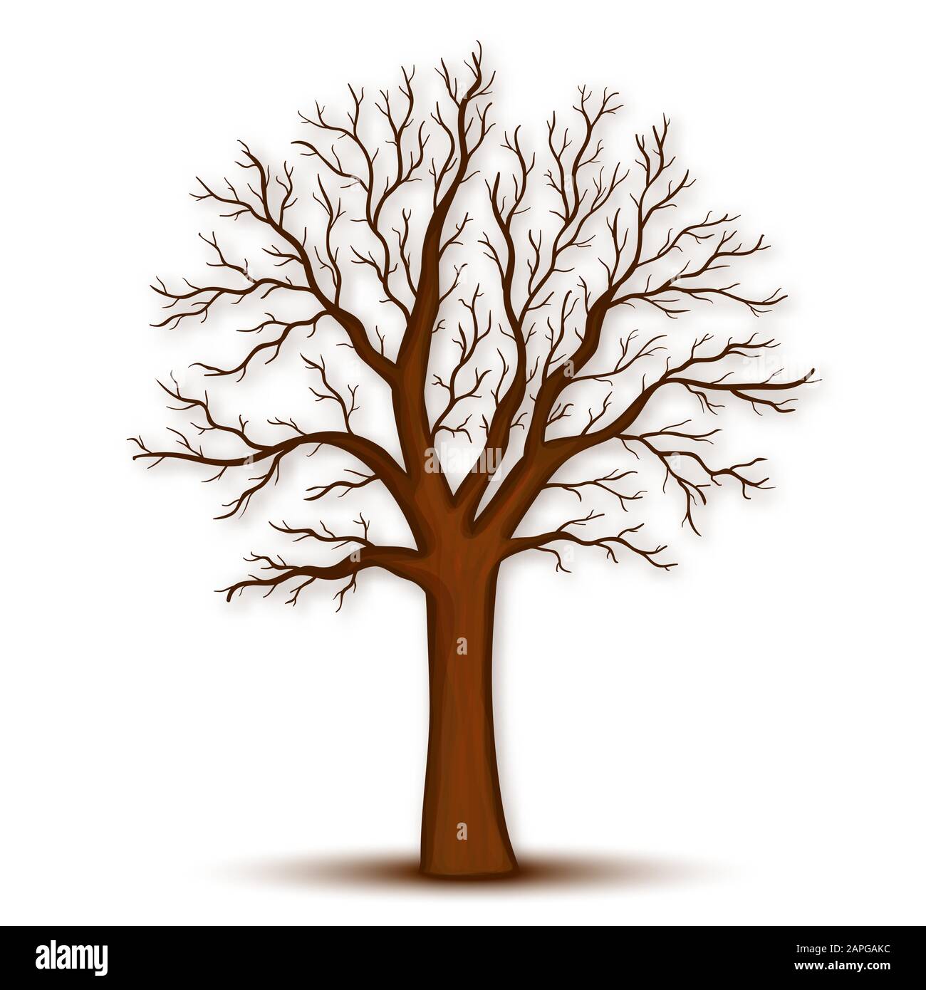 cartoon tree with branches no leaves