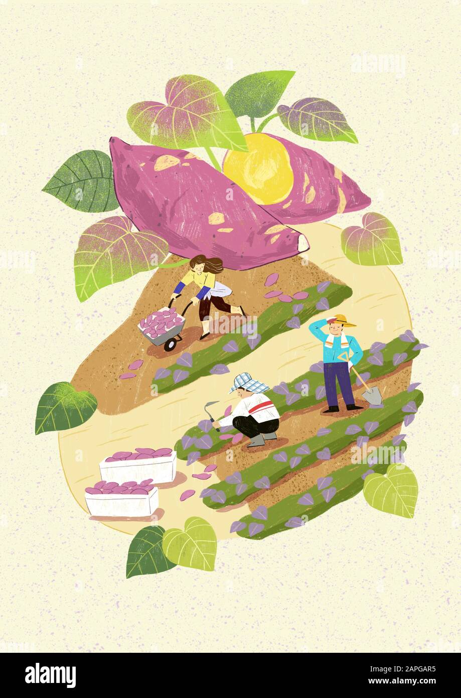 Season of harvest of fresh food materials illustration. vegetables