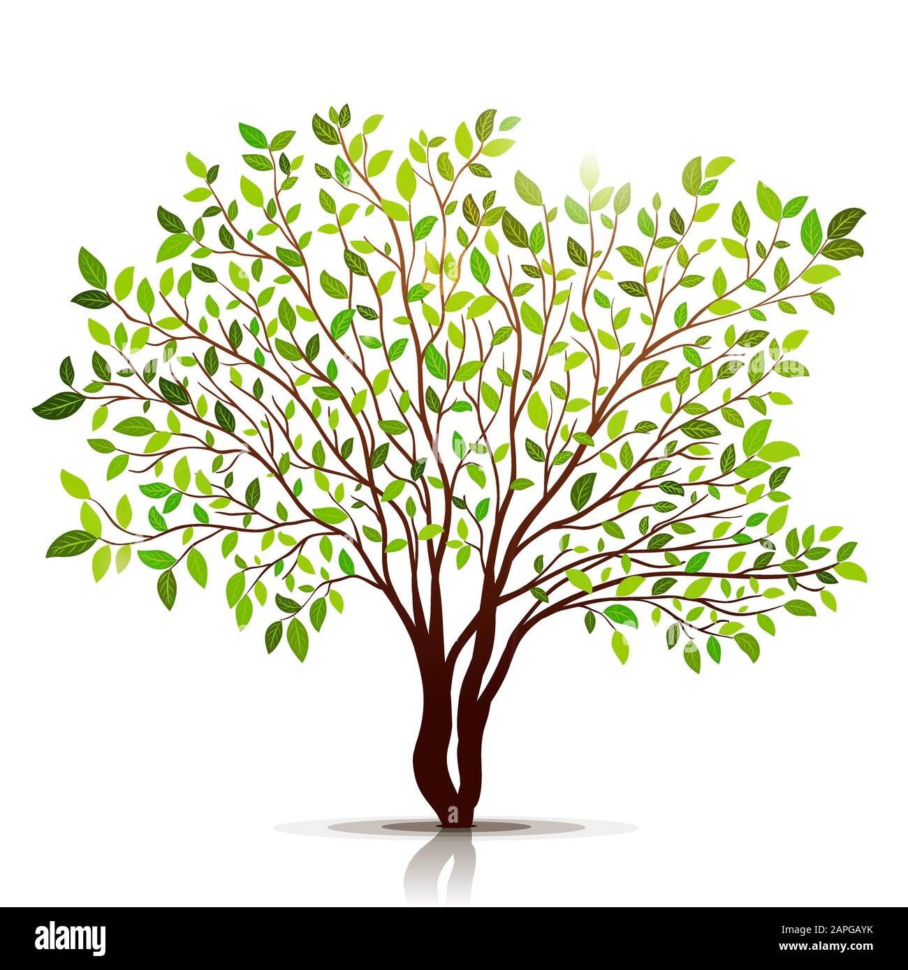 Green tree with leaves on white background vector Stock Vector Image ...