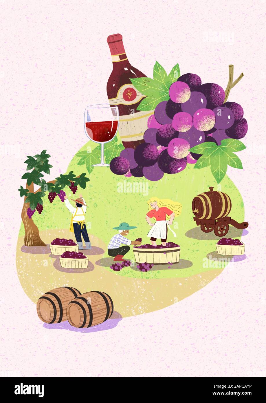 Season of harvest of fresh food materials illustration. vegetables
